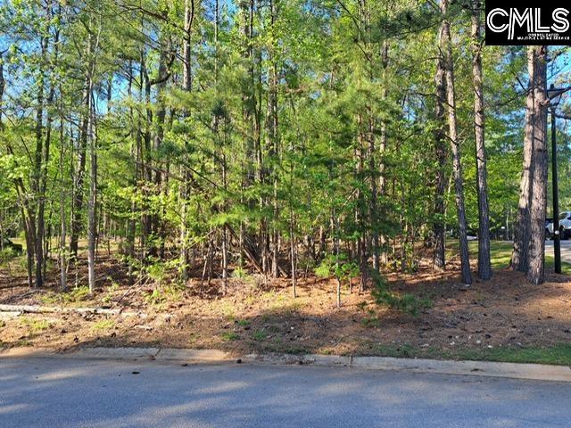 512 Links Pointe Court Chapin, SC 29036 - Photo 8 of 8
