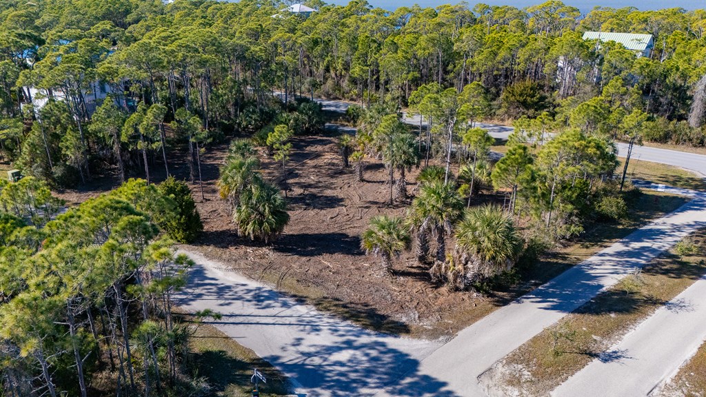 1944 Reed Court West St. George Island, FL 32328 - Photo 8 of 11