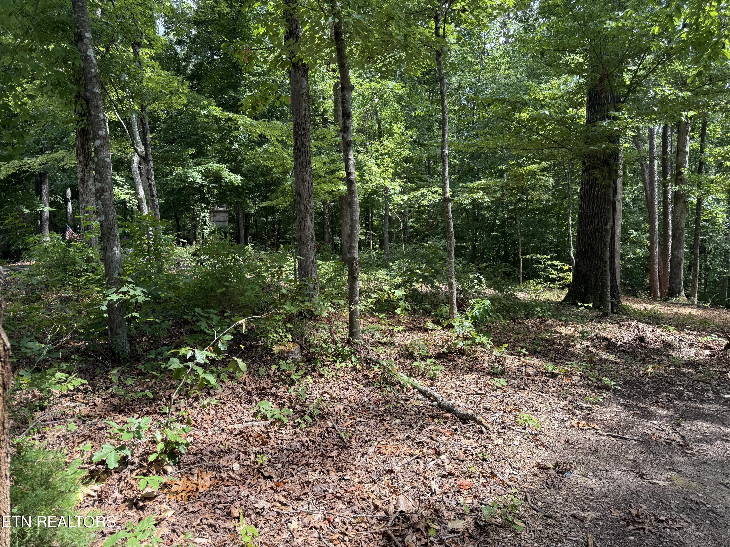 Rocky Top Road Lenoir City, TN 37771 - Photo 18 of 52 new 1