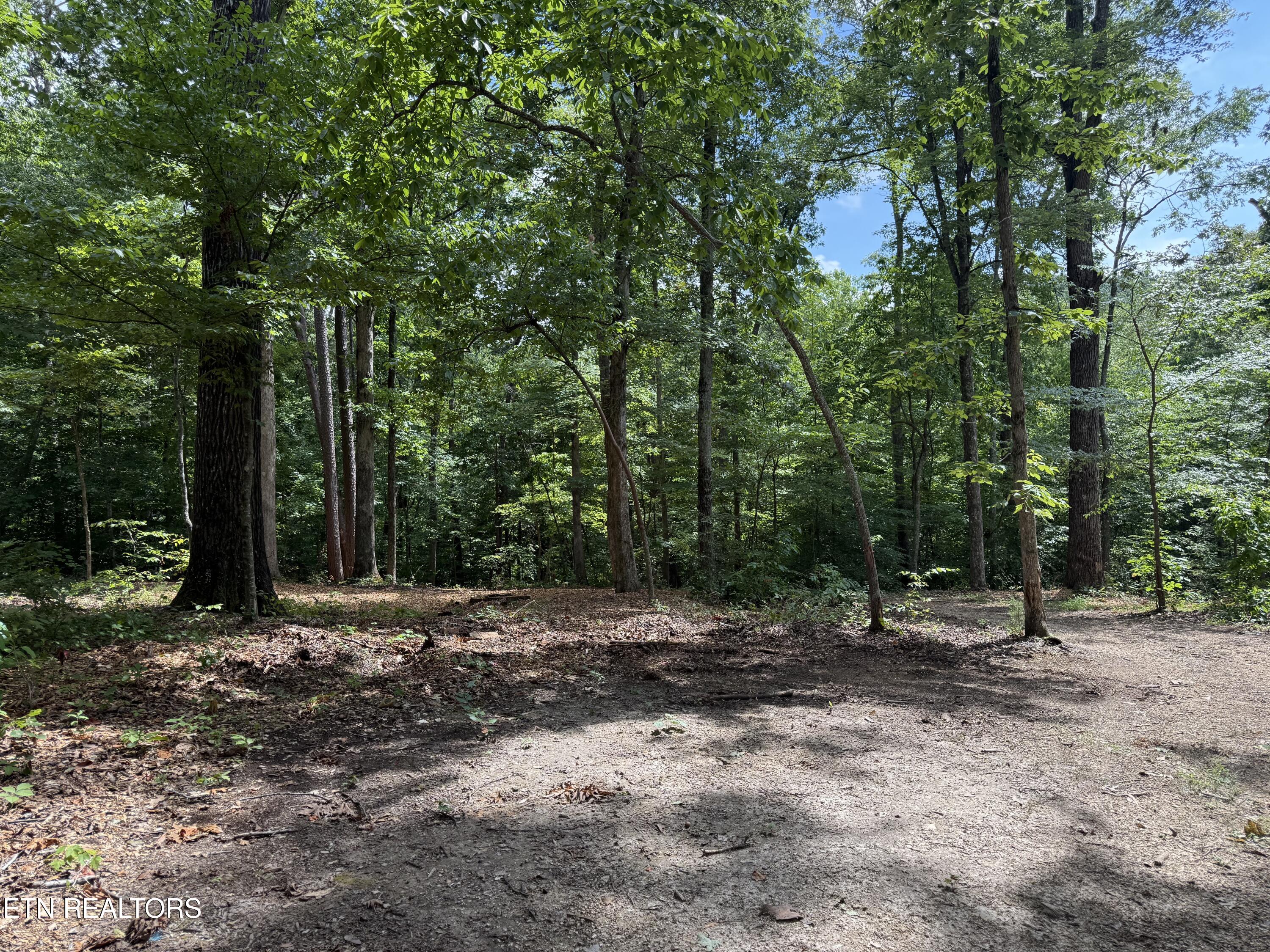 Rocky Top Road Lenoir City, TN 37771 - Photo 19 of 52 new 2