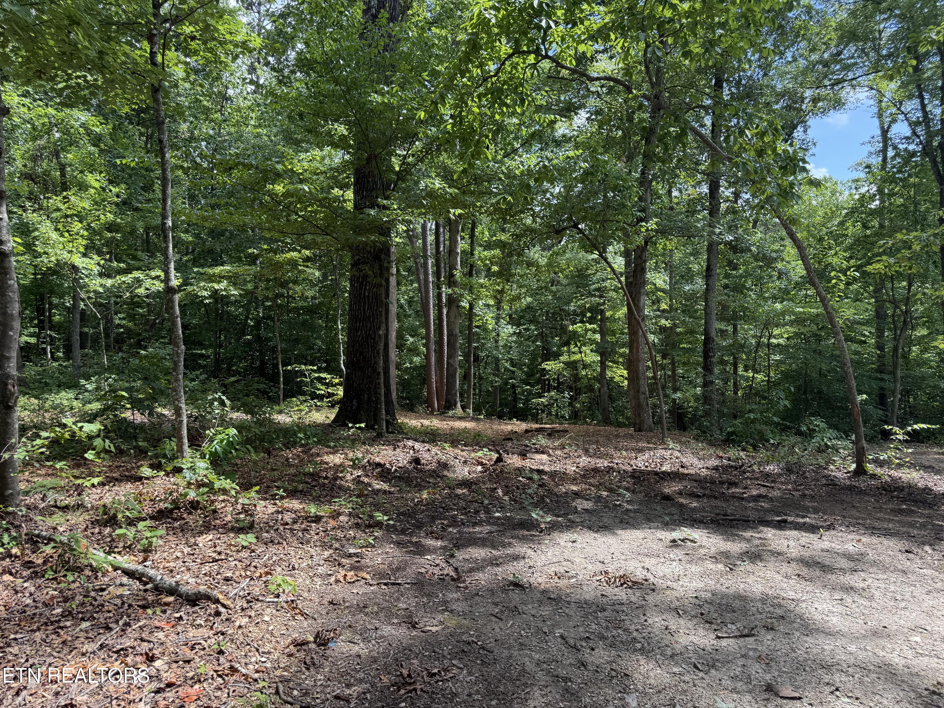 Rocky Top Road Lenoir City, TN 37771 - Photo 20 of 52 new 3