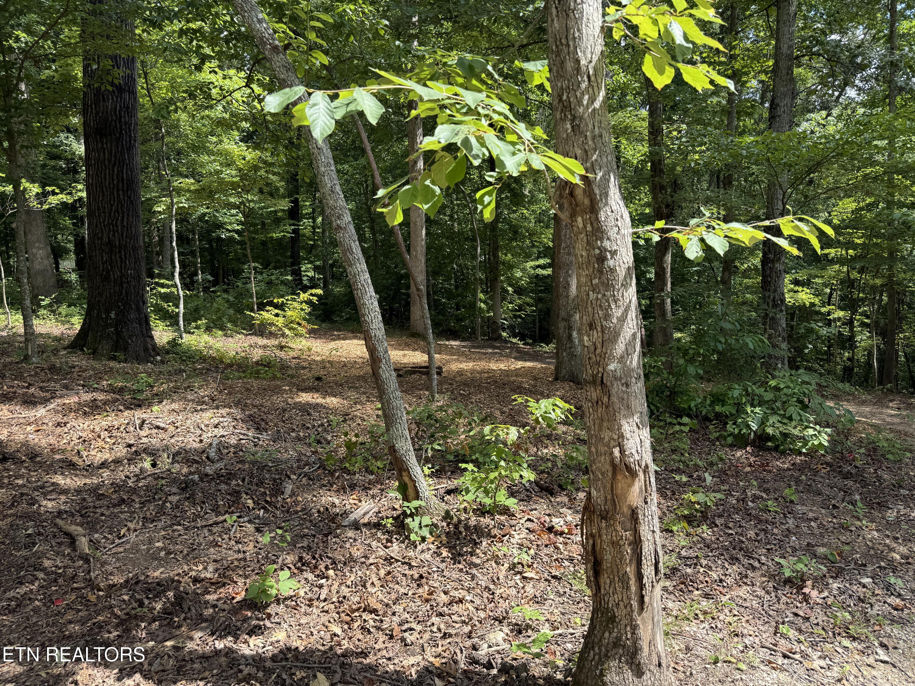 Rocky Top Road Lenoir City, TN 37771 - Photo 21 of 52 IMG_9518