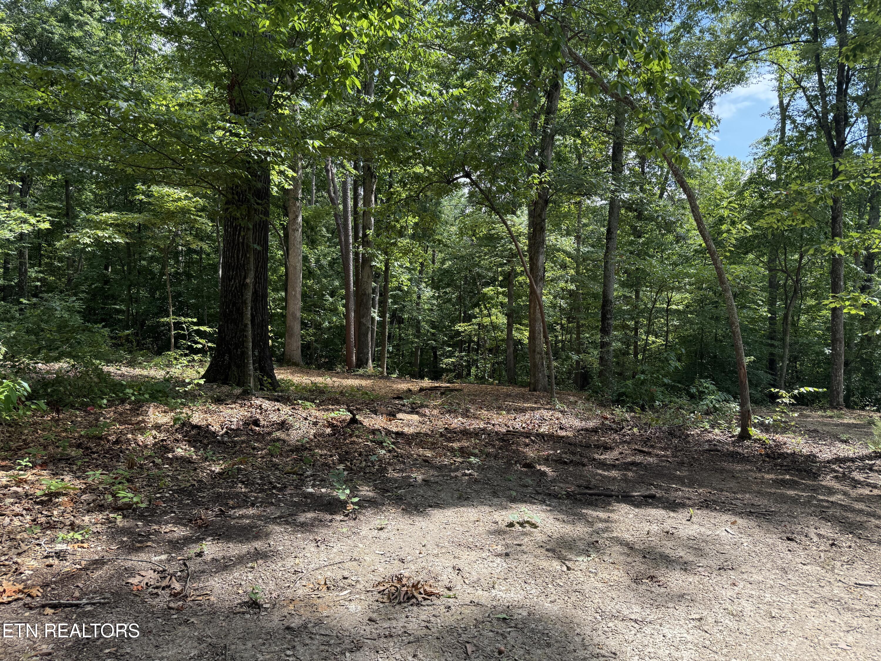 Rocky Top Road Lenoir City, TN 37771 - Photo 22 of 52 IMG_9517