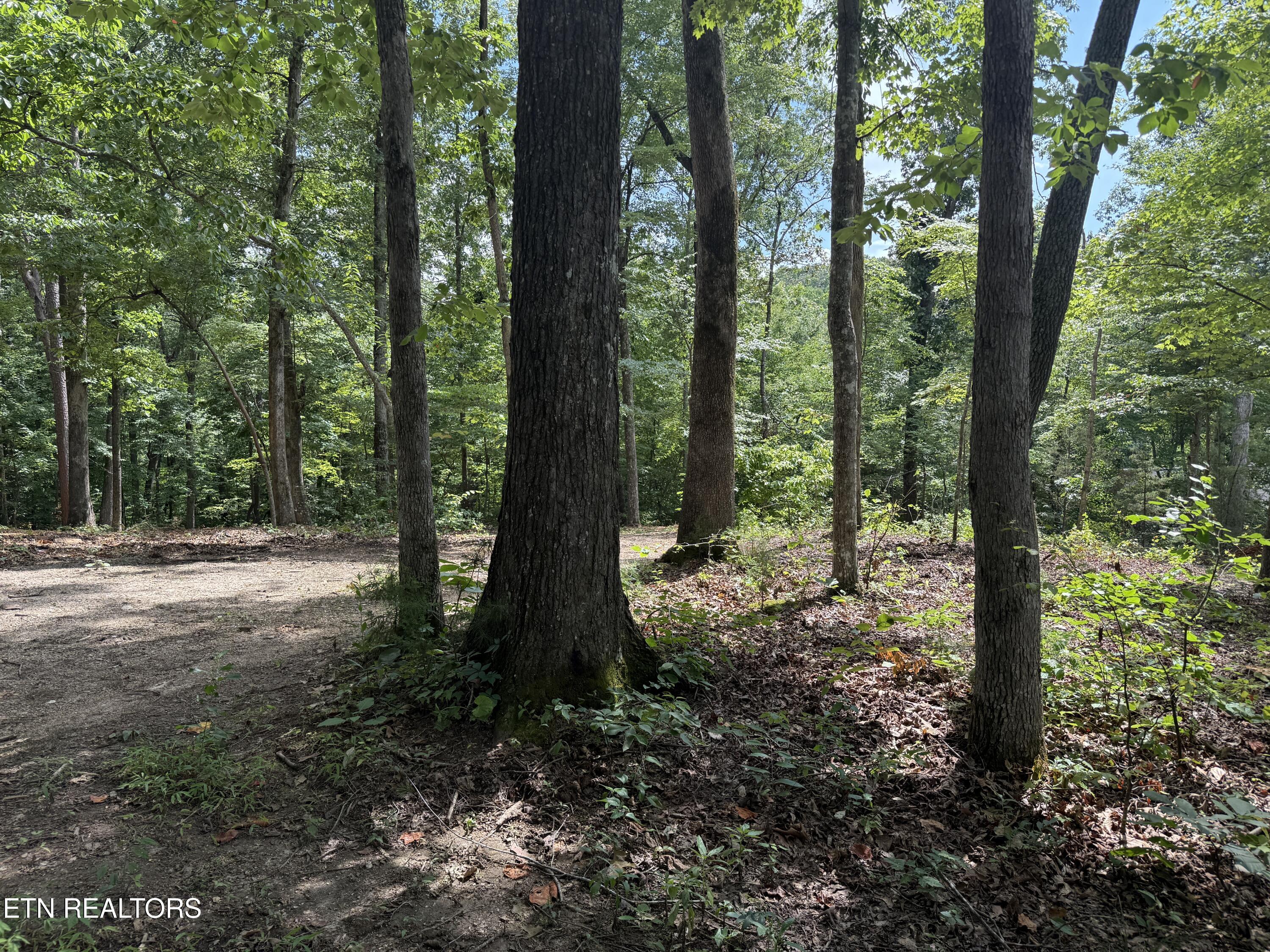 Rocky Top Road Lenoir City, TN 37771 - Photo 23 of 52 IMG_9516