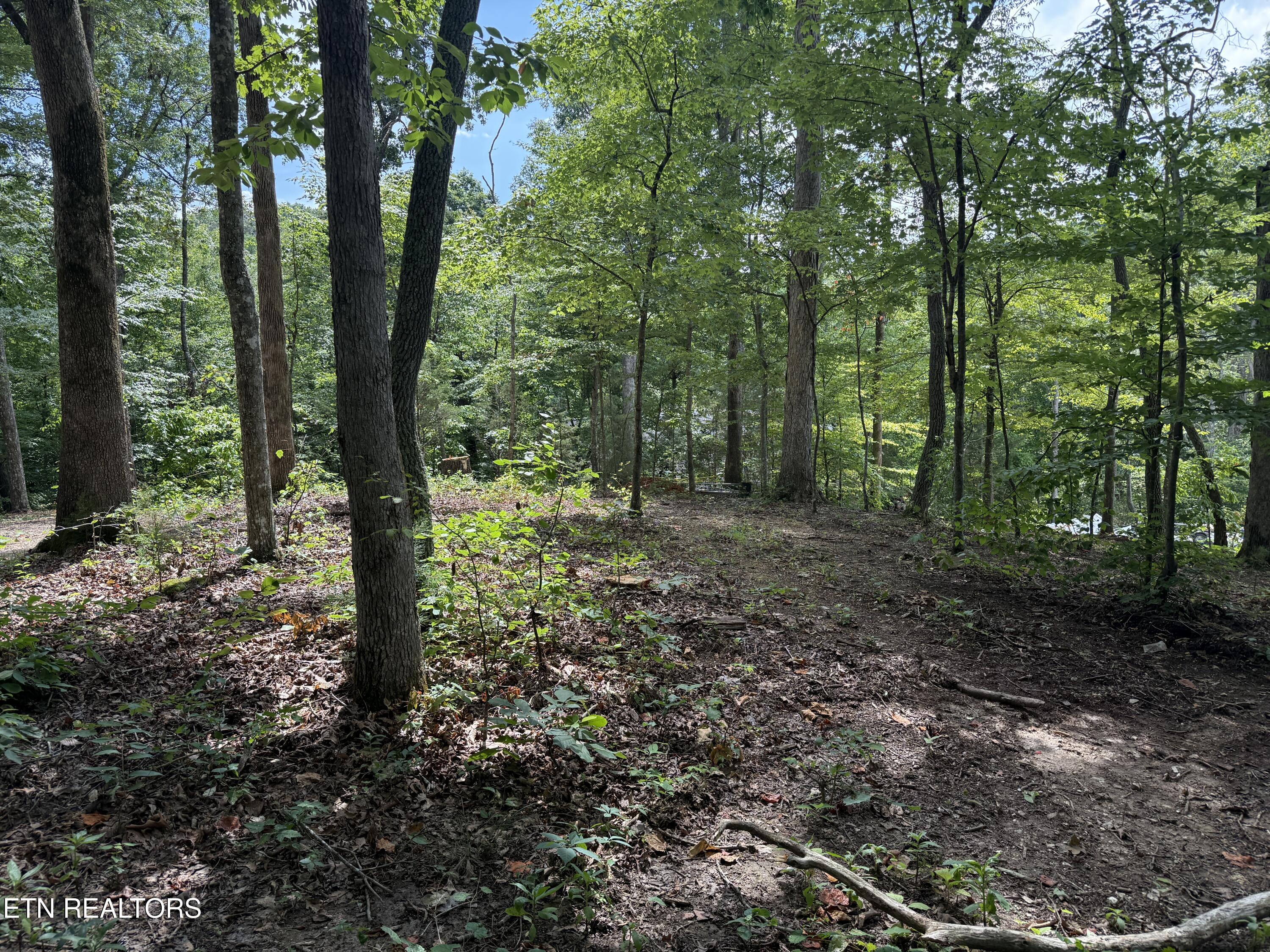 Rocky Top Road Lenoir City, TN 37771 - Photo 24 of 52 IMG_9514