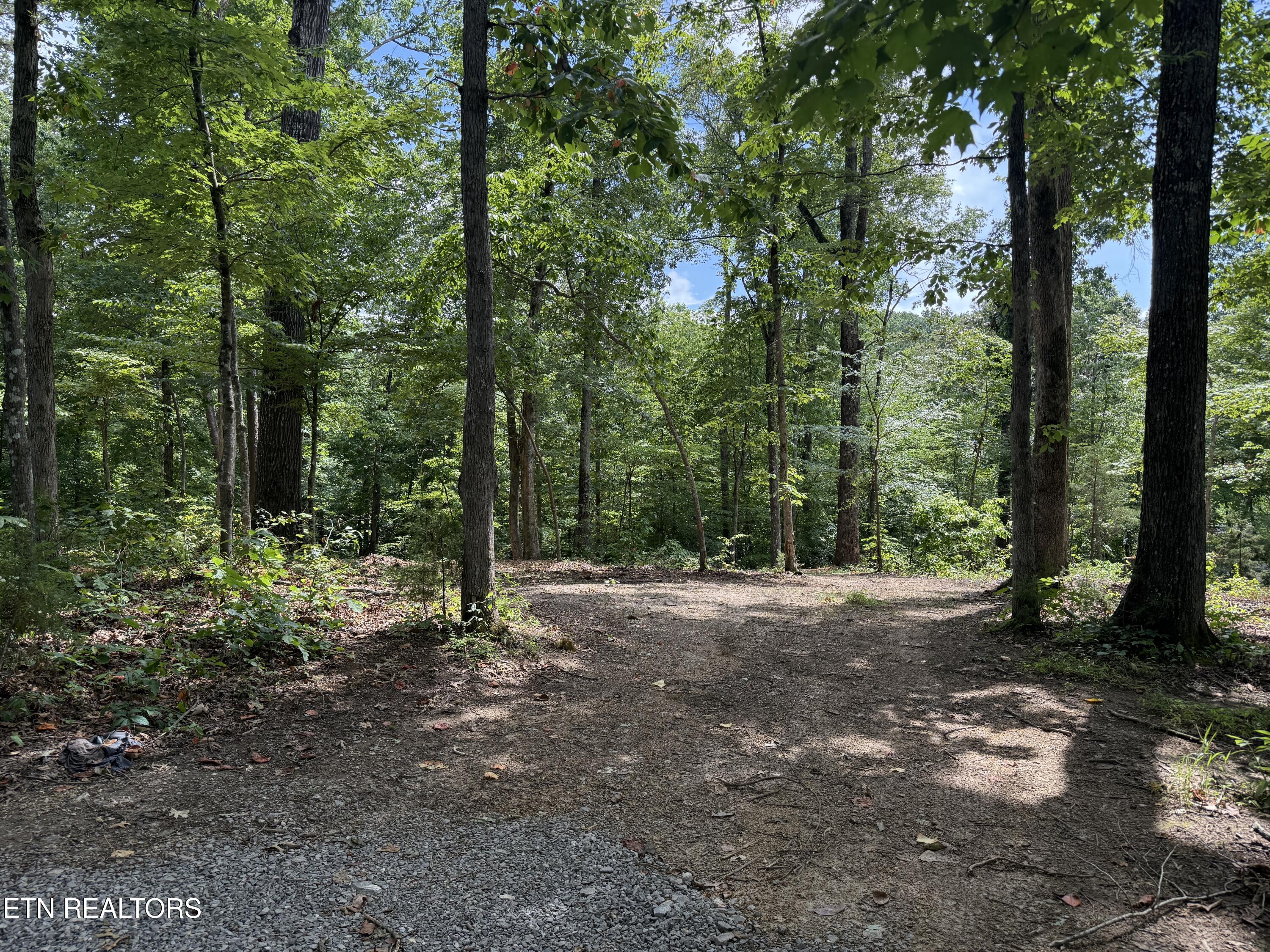 Rocky Top Road Lenoir City, TN 37771 - Photo 25 of 52 IMG_9513