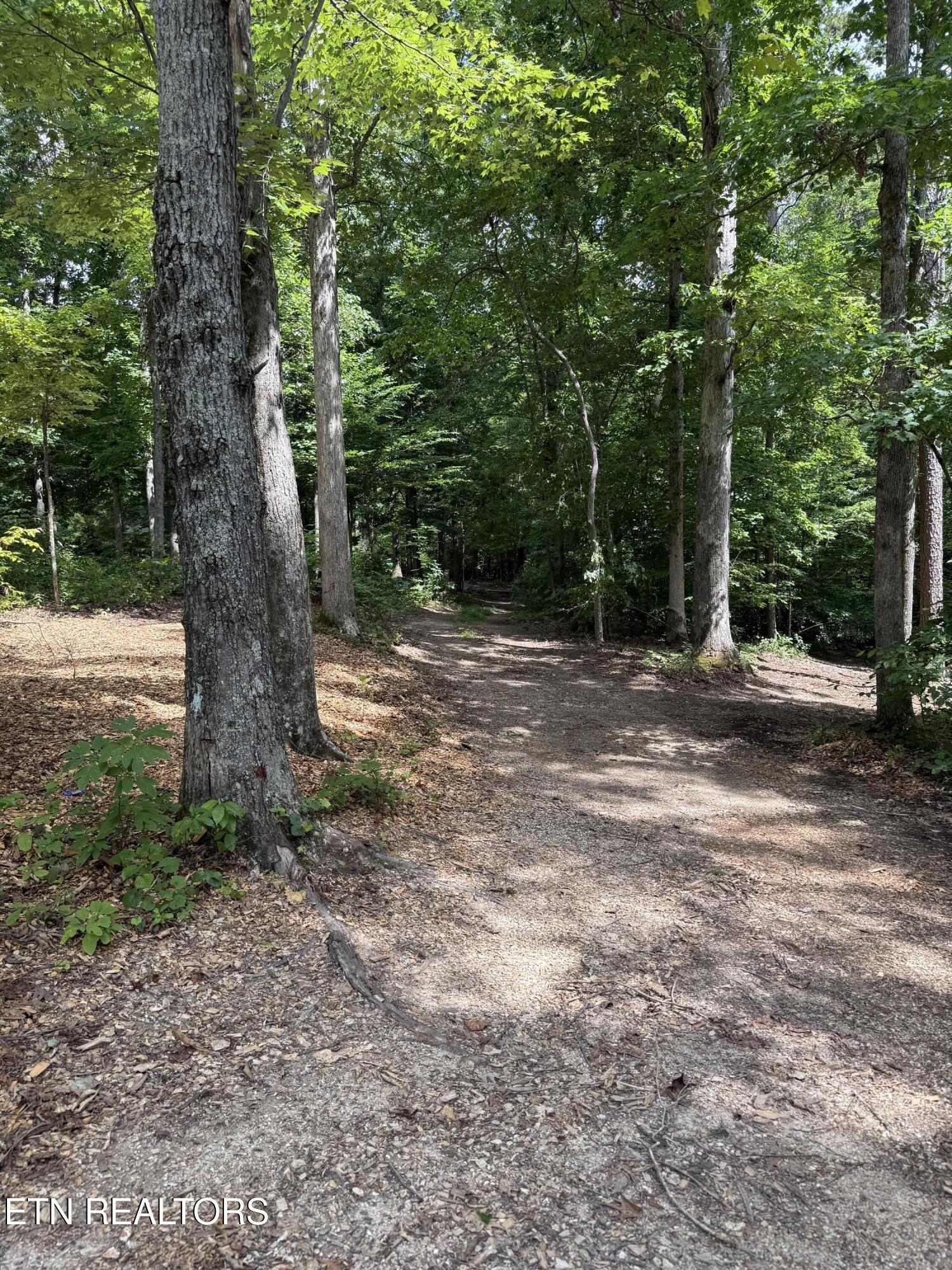 Rocky Top Road Lenoir City, TN 37771 - Photo 26 of 52 IMG_9519