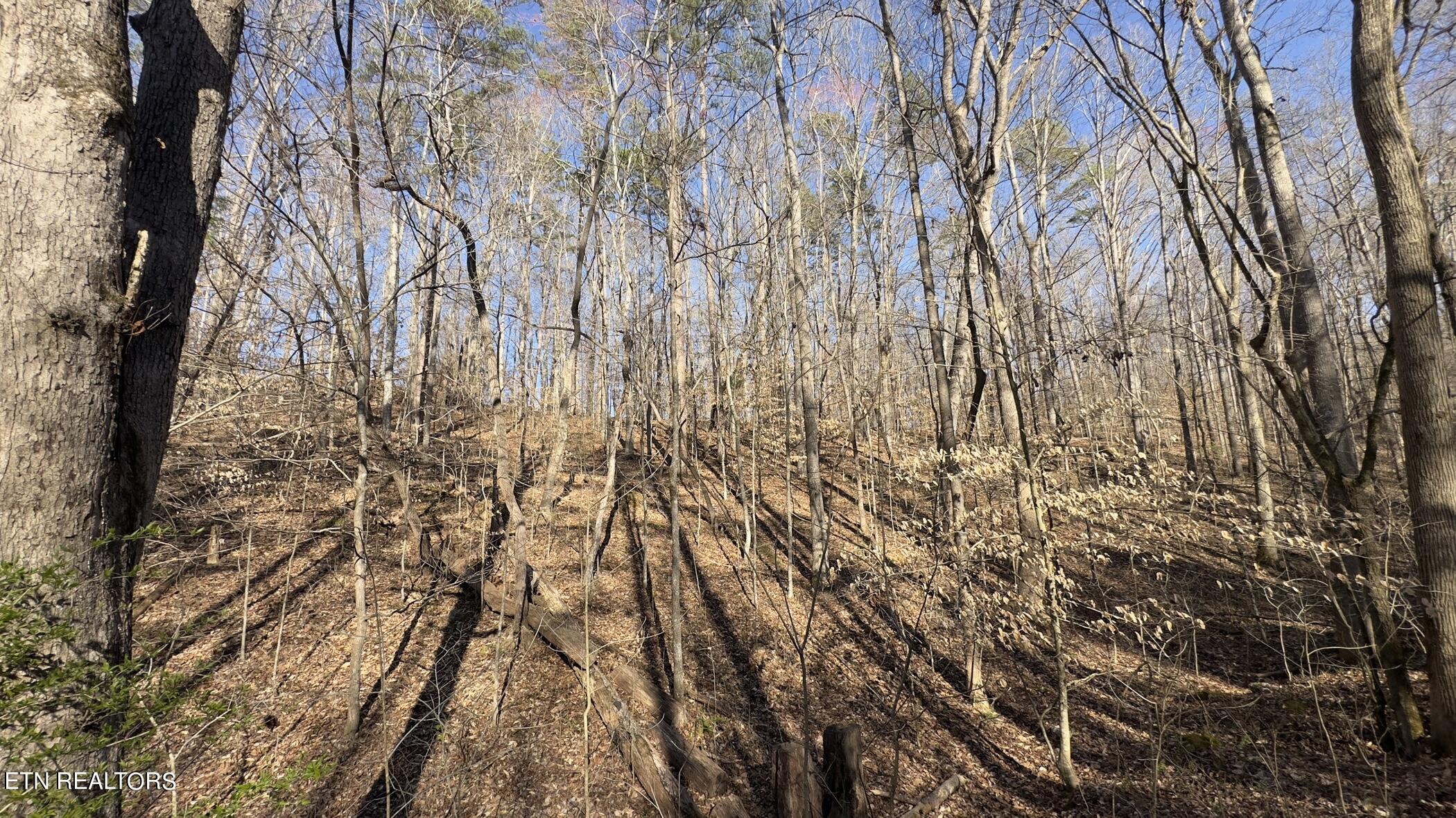 Rocky Top Road Lenoir City, TN 37771 - Photo 28 of 52 img_8478