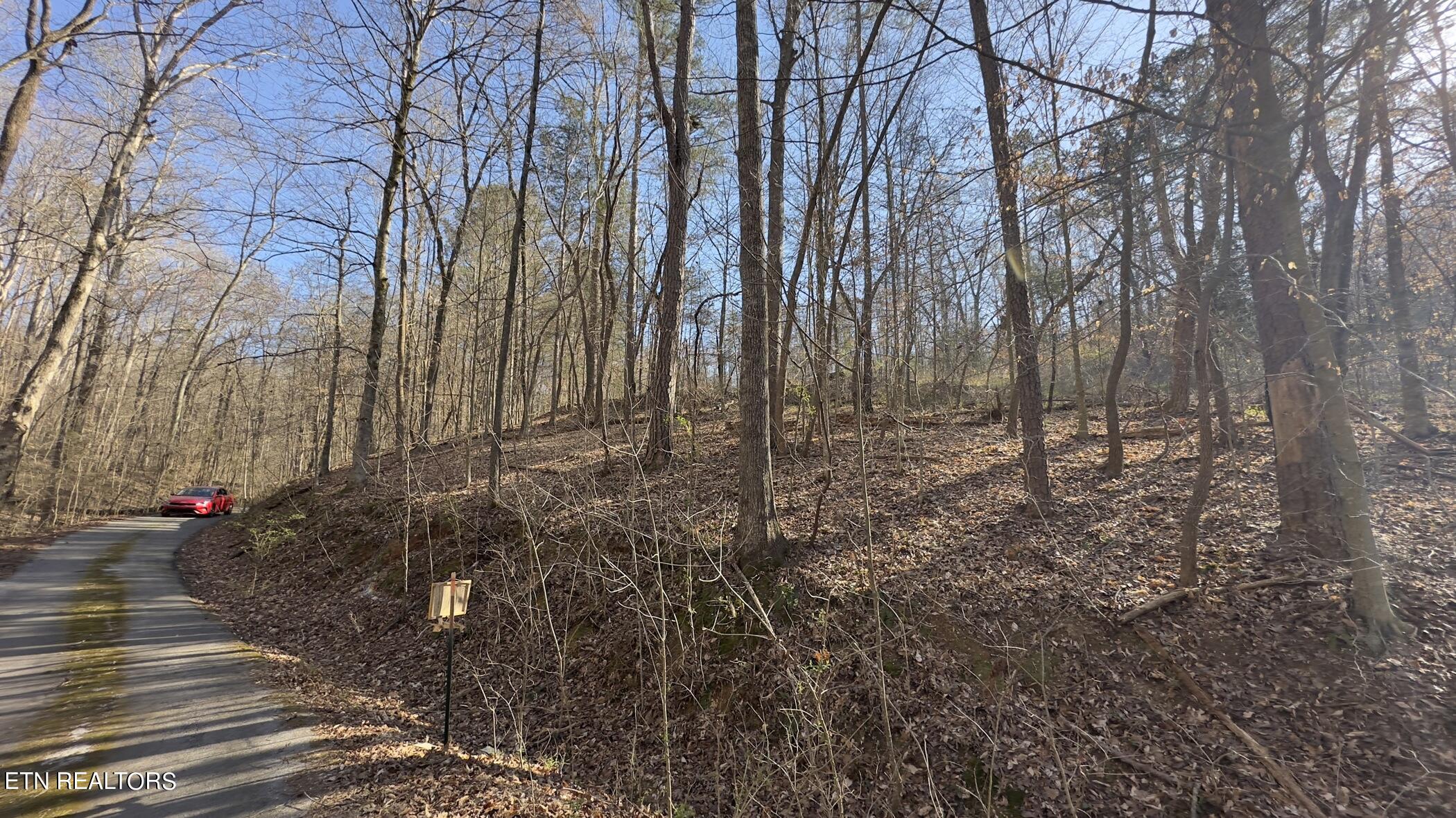 Rocky Top Road Lenoir City, TN 37771 - Photo 29 of 52 img_8477