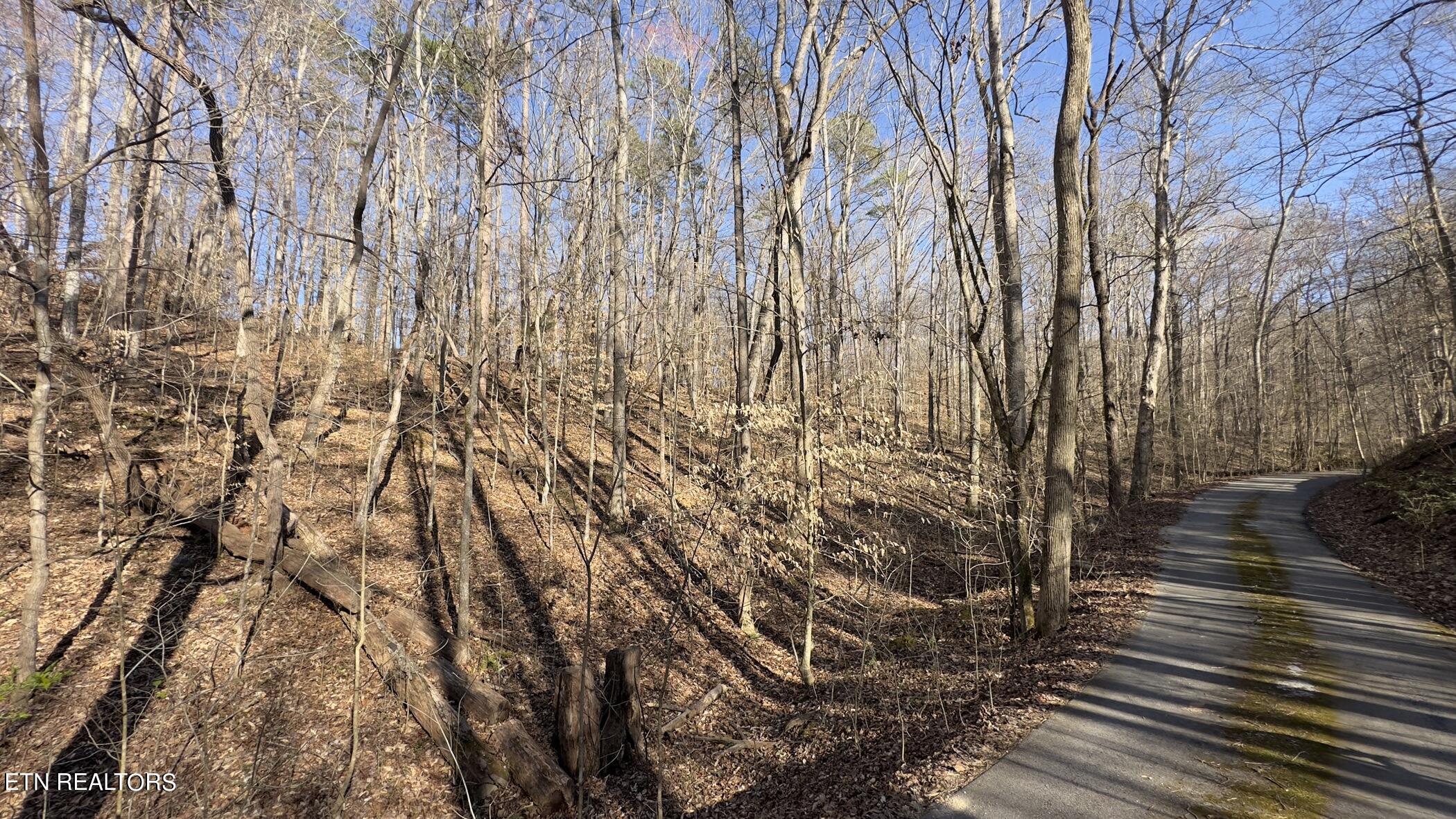 Rocky Top Road Lenoir City, TN 37771 - Photo 30 of 52 img_8476