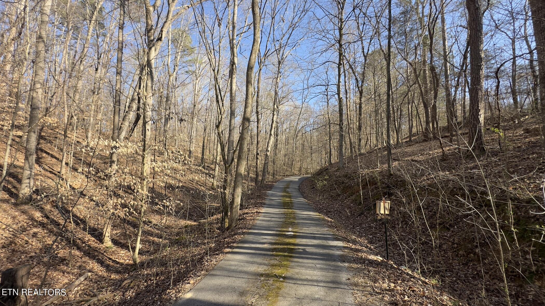 Rocky Top Road Lenoir City, TN 37771 - Photo 31 of 52 img_8475