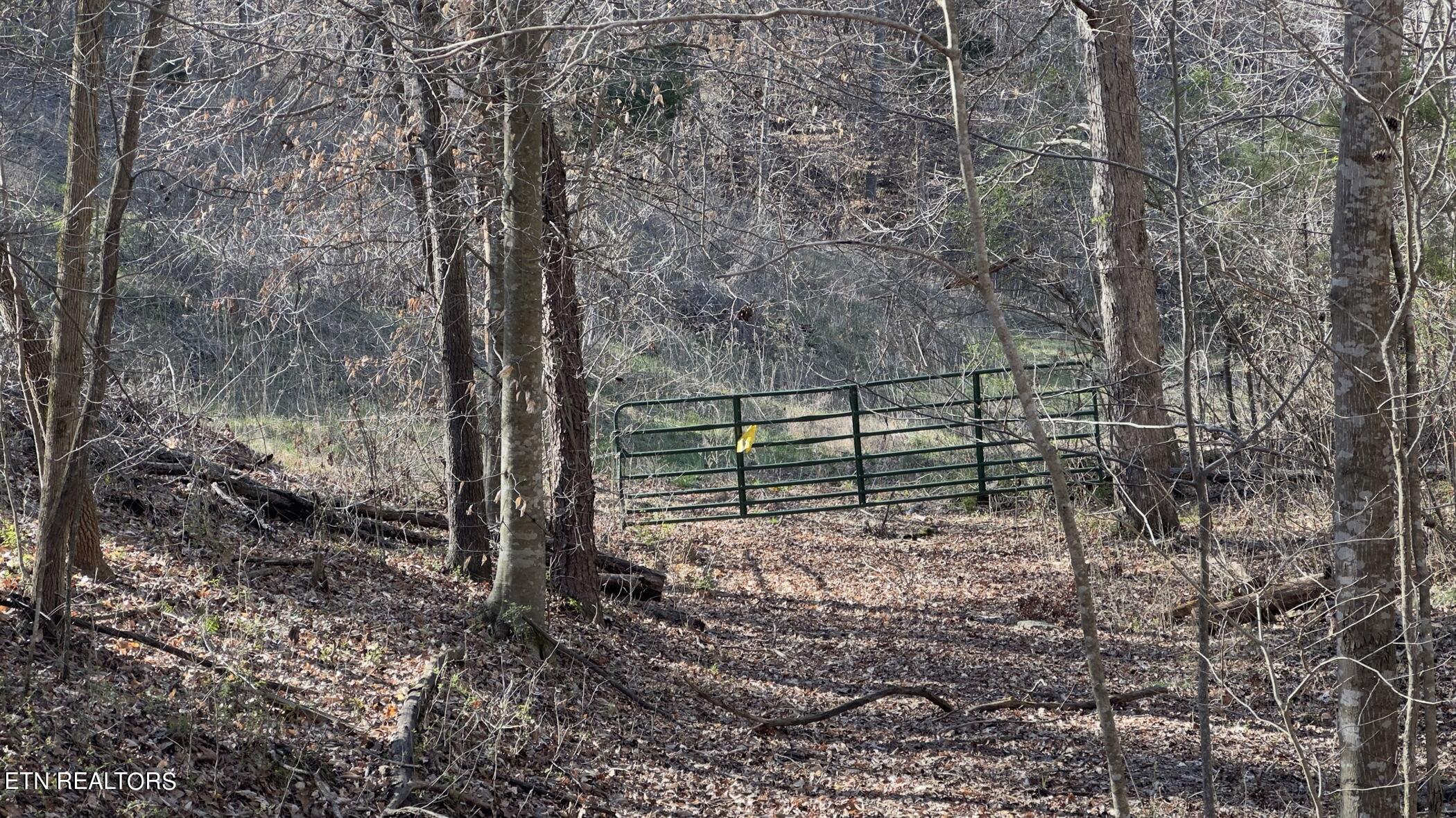 Rocky Top Road Lenoir City, TN 37771 - Photo 32 of 52 img_8471