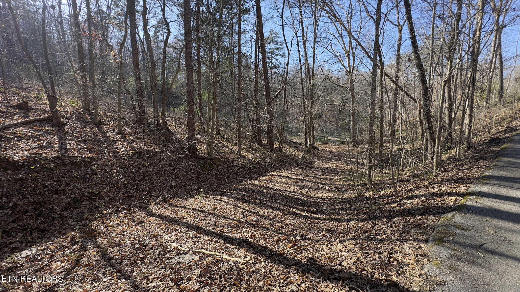 Rocky Top Road Lenoir City, TN 37771 - Photo 33 of 52 img_8470