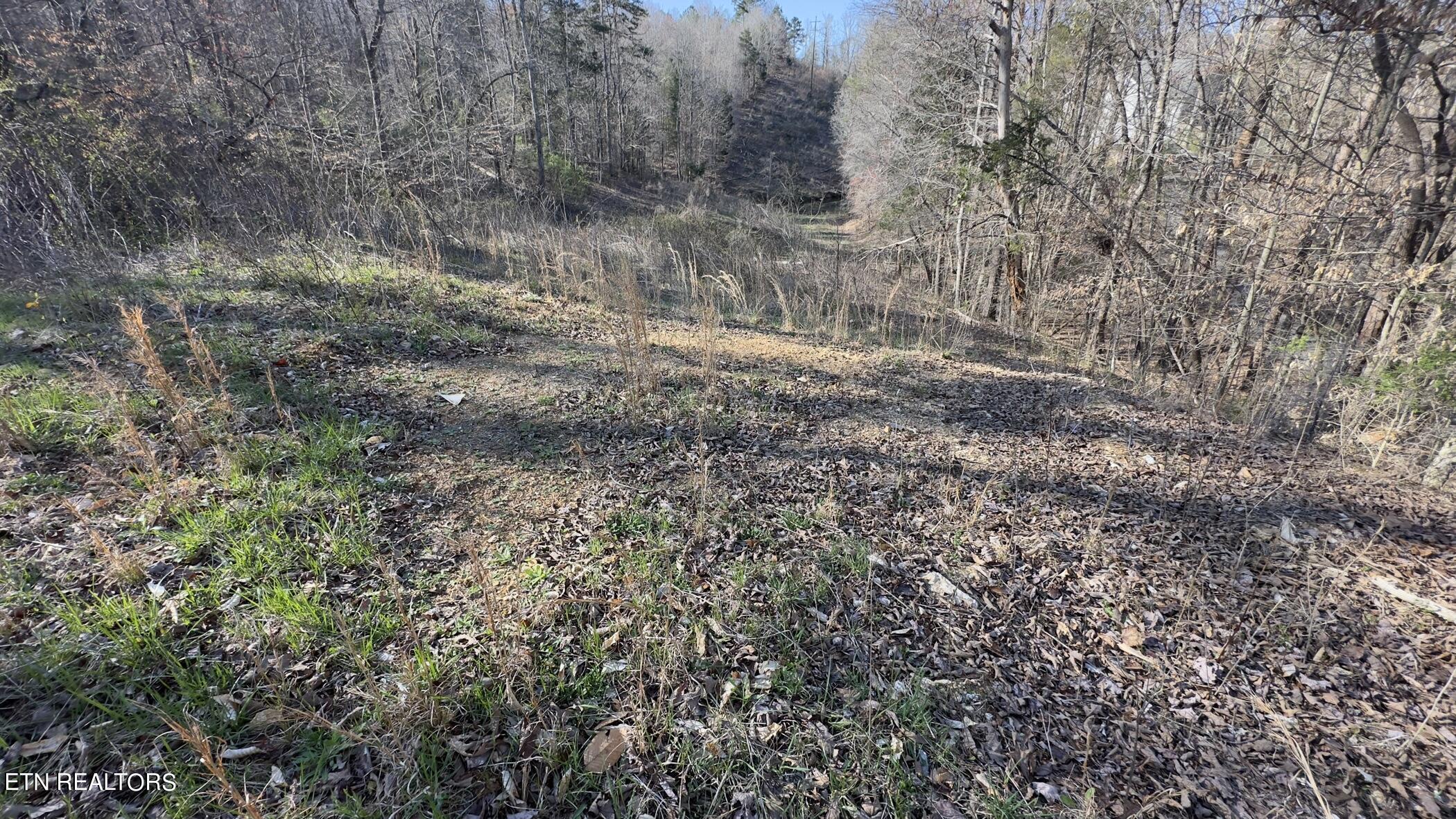 Rocky Top Road Lenoir City, TN 37771 - Photo 34 of 52 img_8465