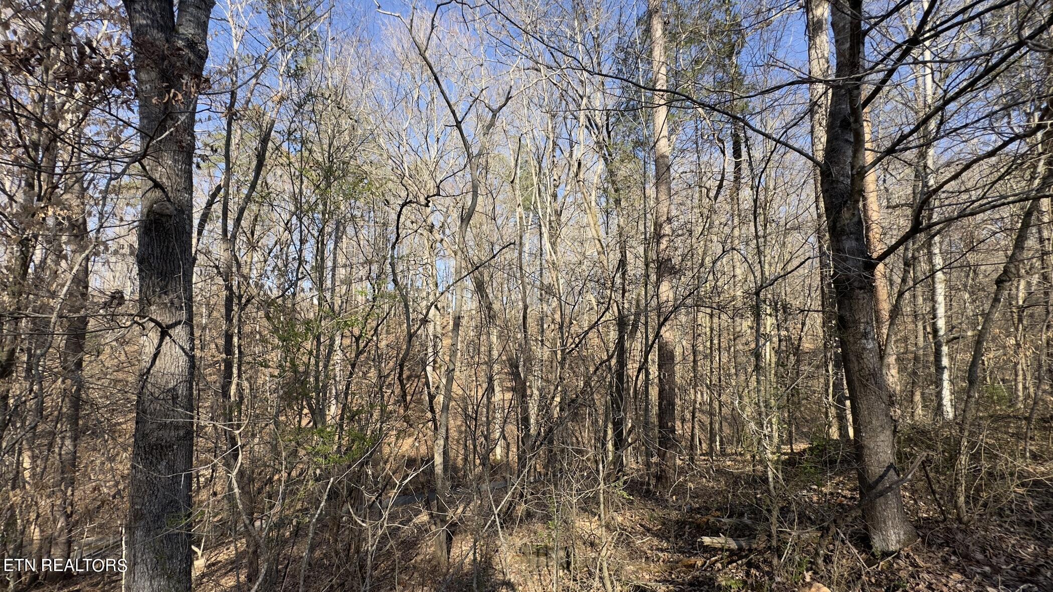 Rocky Top Road Lenoir City, TN 37771 - Photo 35 of 52 img_8462