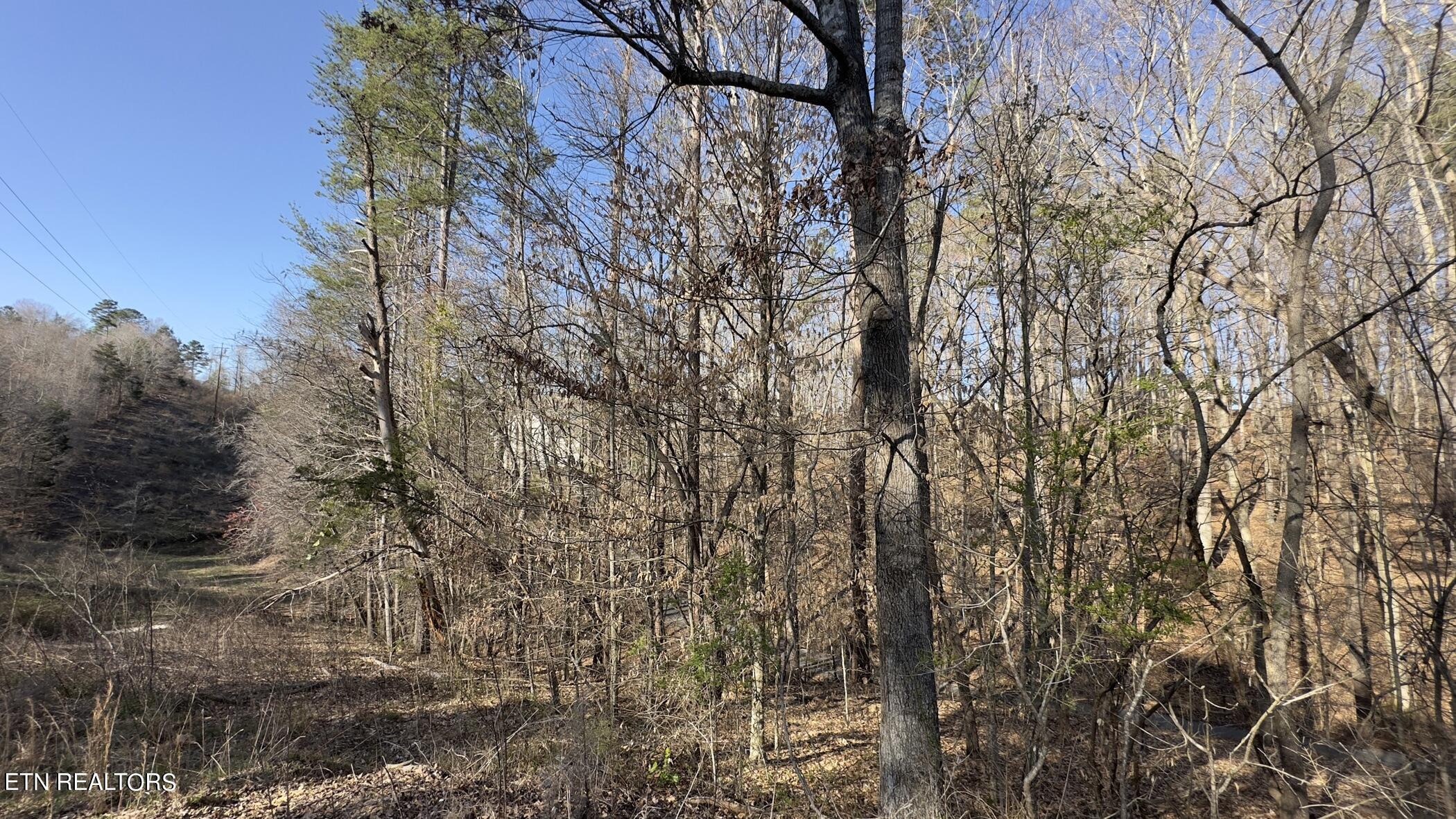 Rocky Top Road Lenoir City, TN 37771 - Photo 36 of 52 img_8461