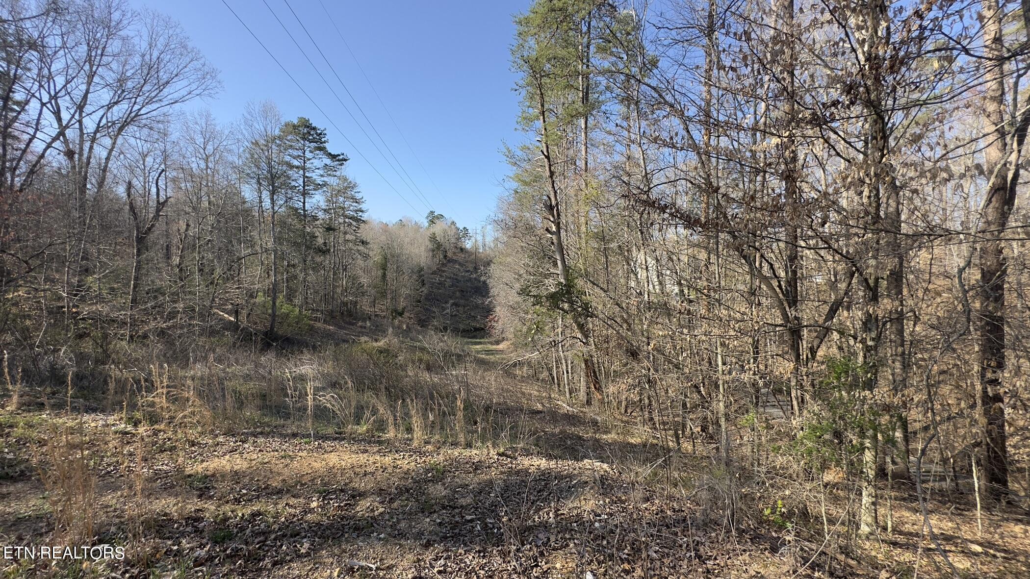 Rocky Top Road Lenoir City, TN 37771 - Photo 37 of 52 img_8460