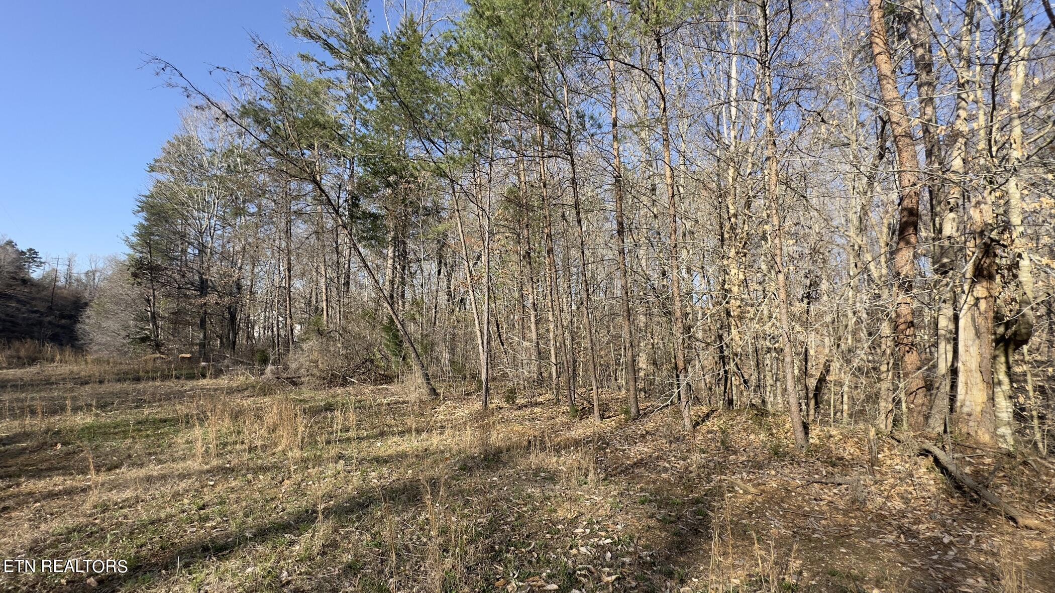 Rocky Top Road Lenoir City, TN 37771 - Photo 38 of 52 img_8459