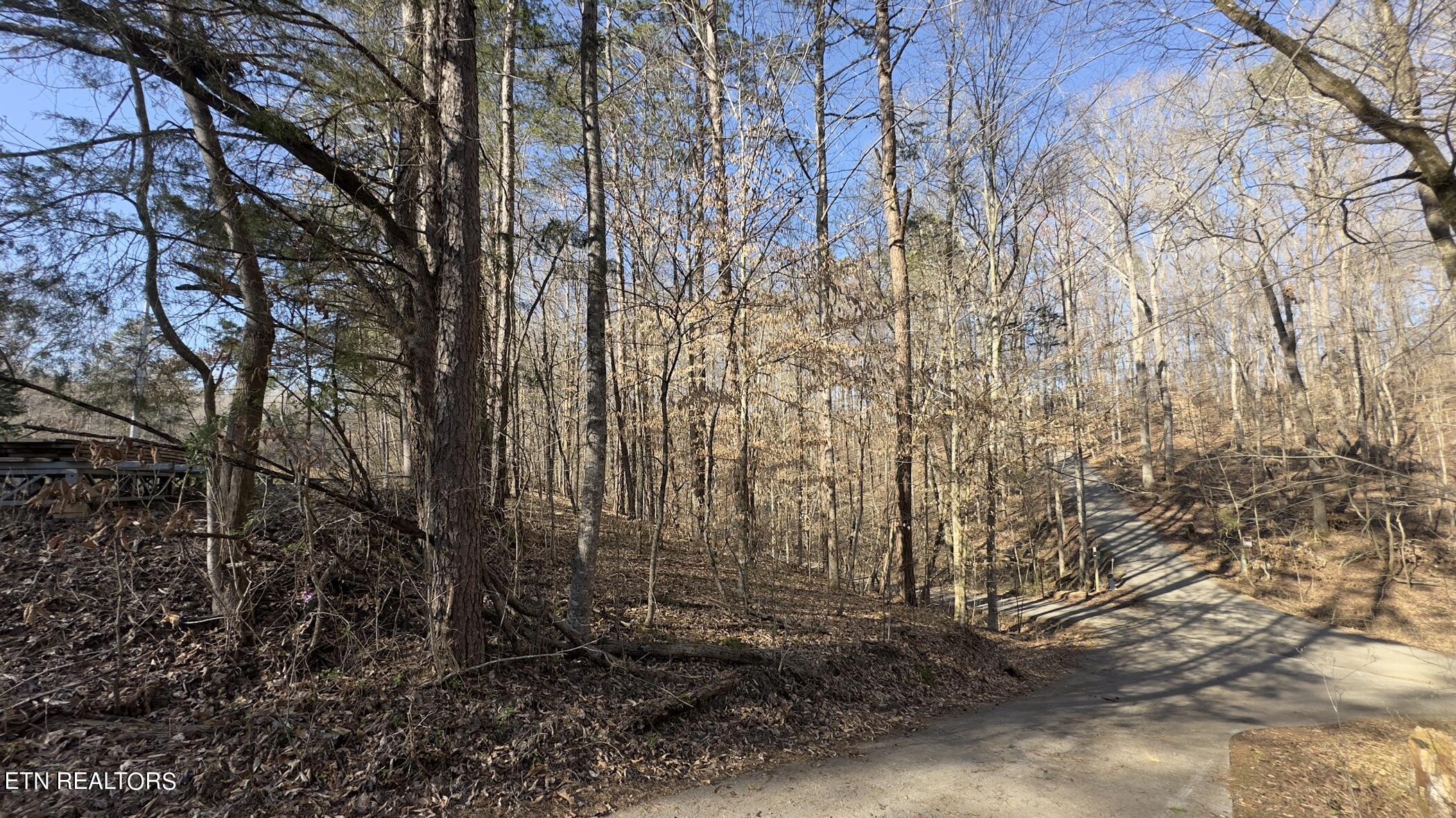 Rocky Top Road Lenoir City, TN 37771 - Photo 39 of 52 img_8456