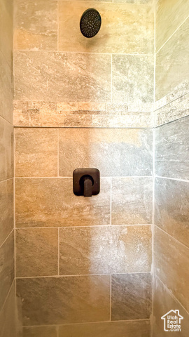 5236 North Holly Way Helper, UT 84526 - Photo 11 of 34 Bathroom view of tiled shower