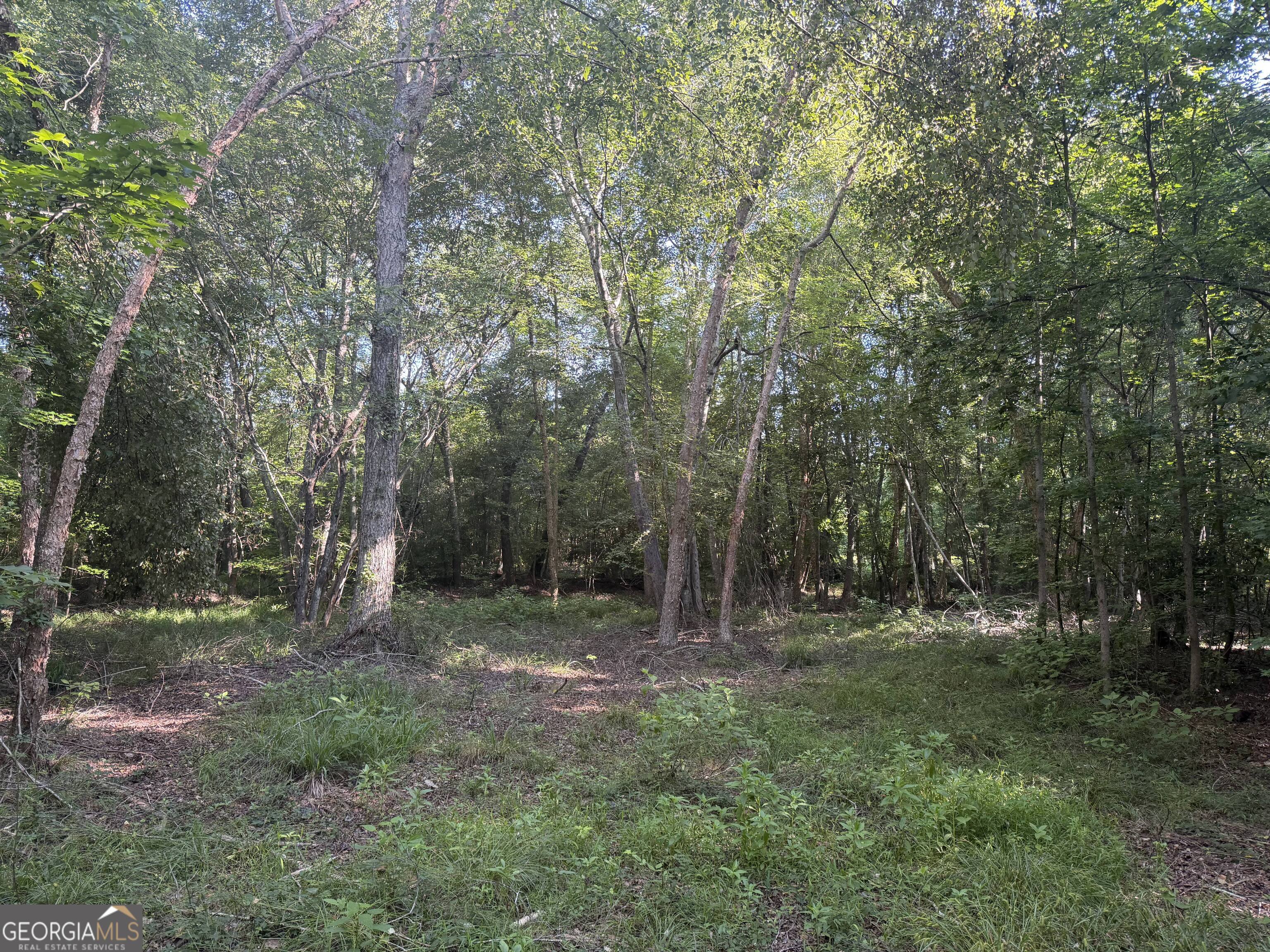 0 Branan Road Toomsboro, GA 31090 - Photo 3 of 28