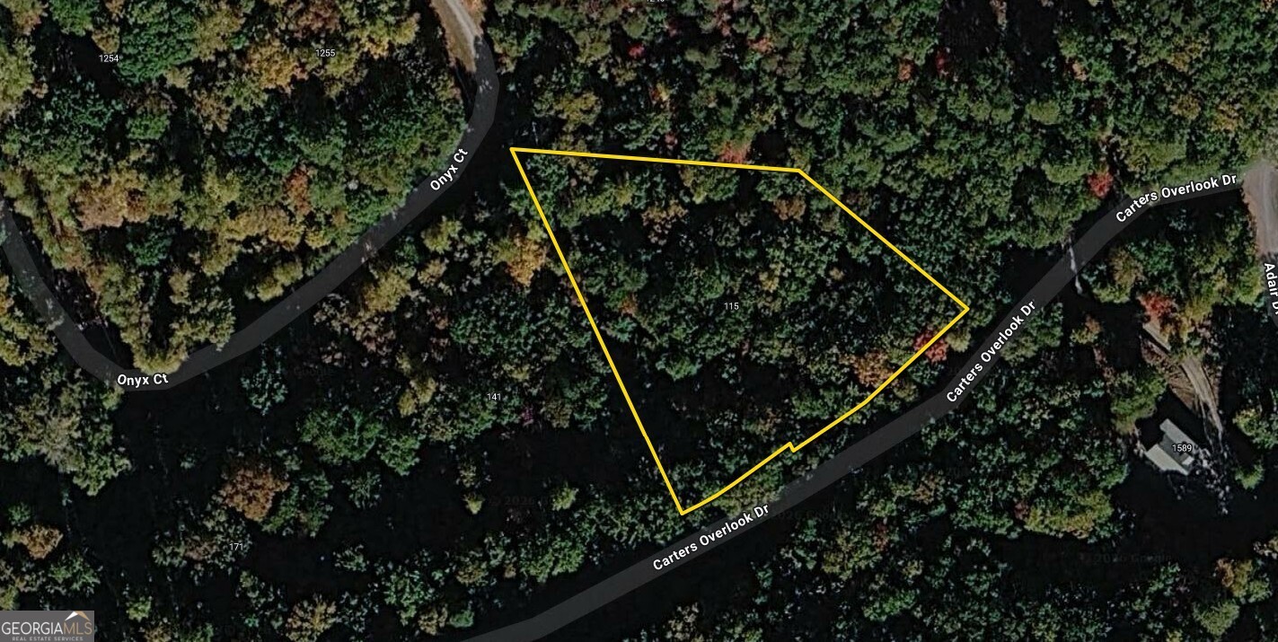 115 Carters Overlook Drive Ranger, GA 30734 - Photo 8 of 12
