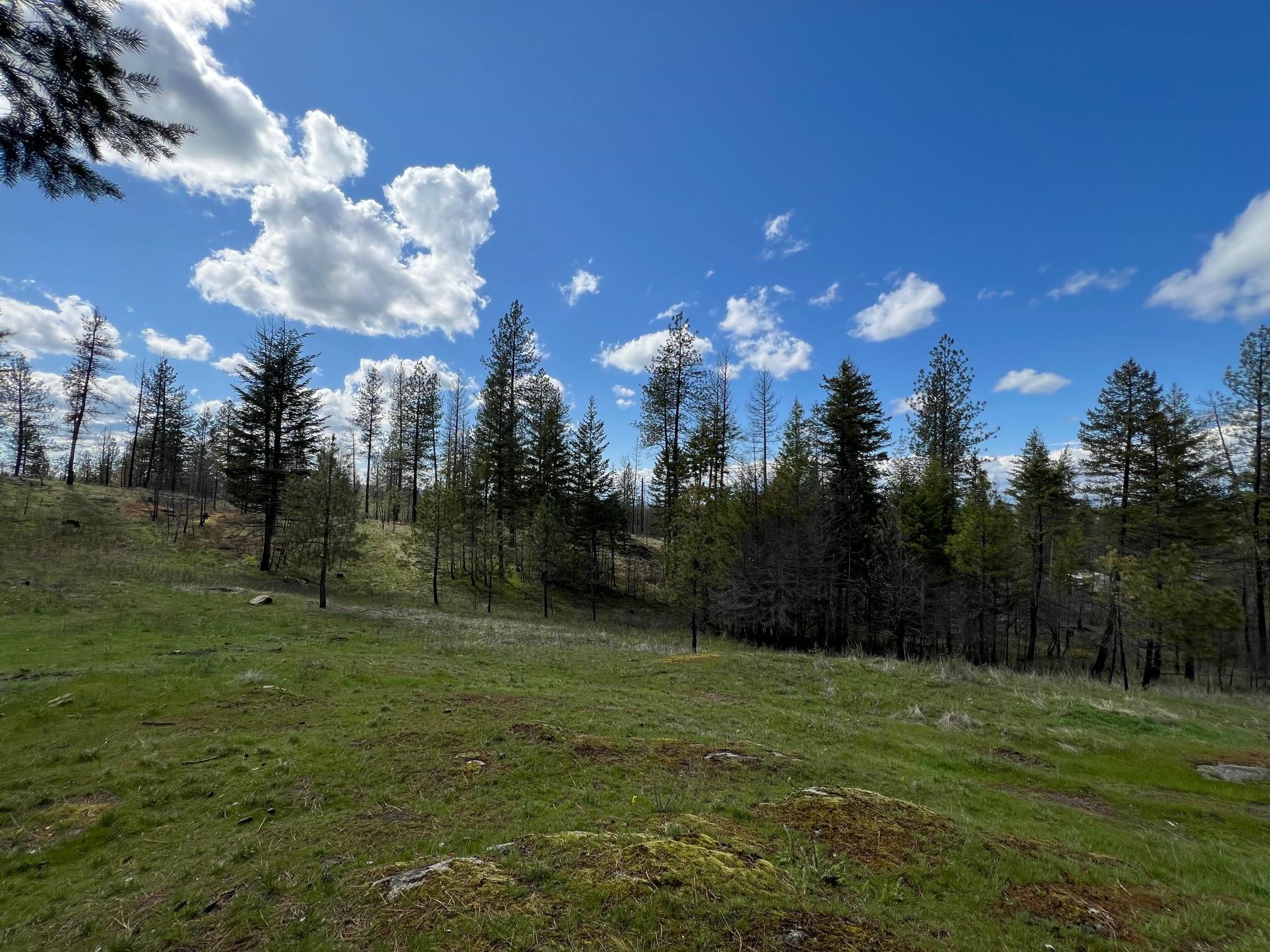 13312 East Nelson Road Elk, WA 99009 - Photo 16 of 22