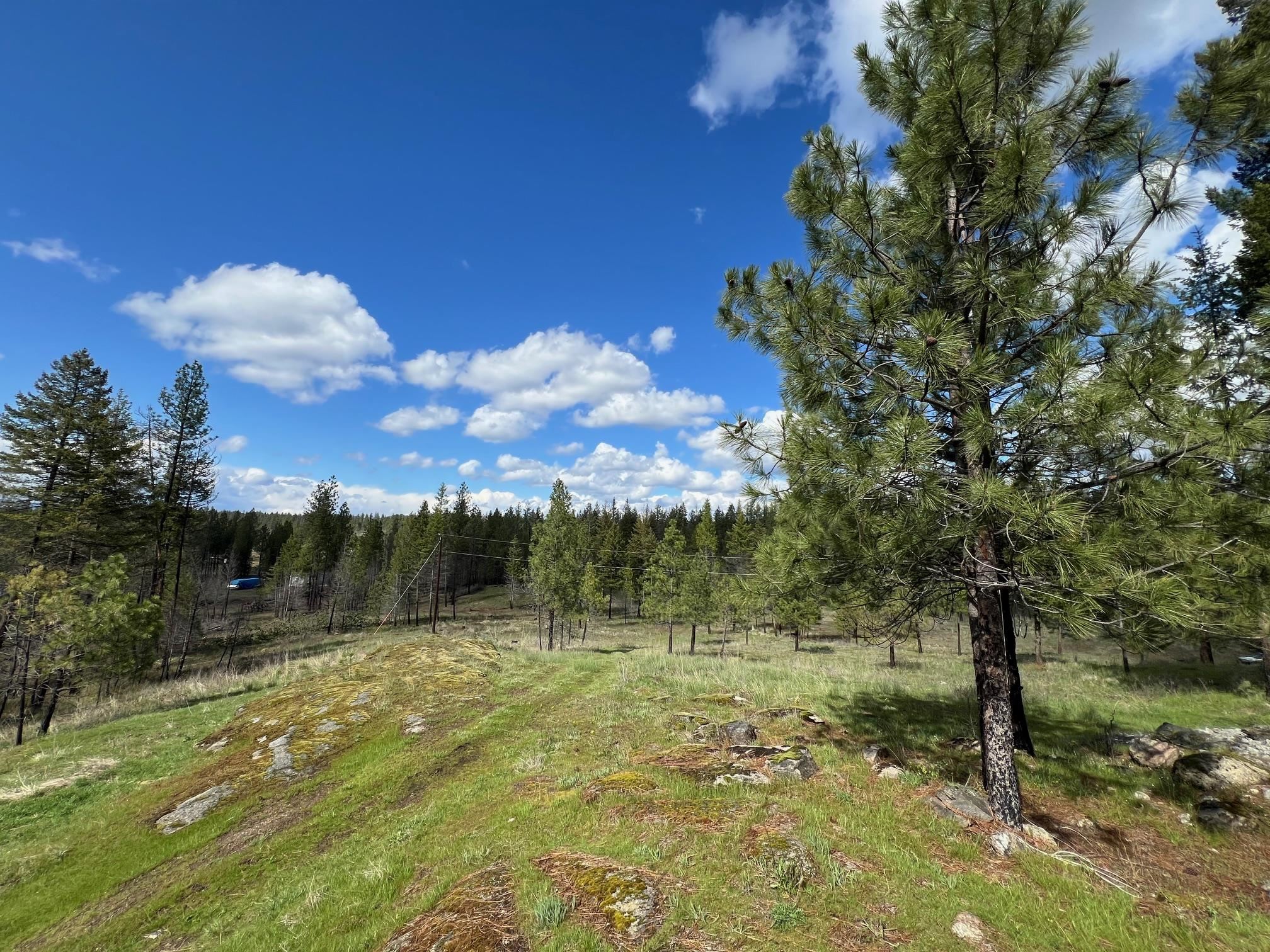 13312 East Nelson Road Elk, WA 99009 - Photo 17 of 22
