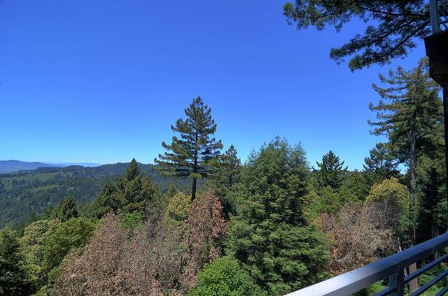 254 Swett Road Woodside, CA 94062 - Photo 31 of 31 a view of a lake in middle of the forest