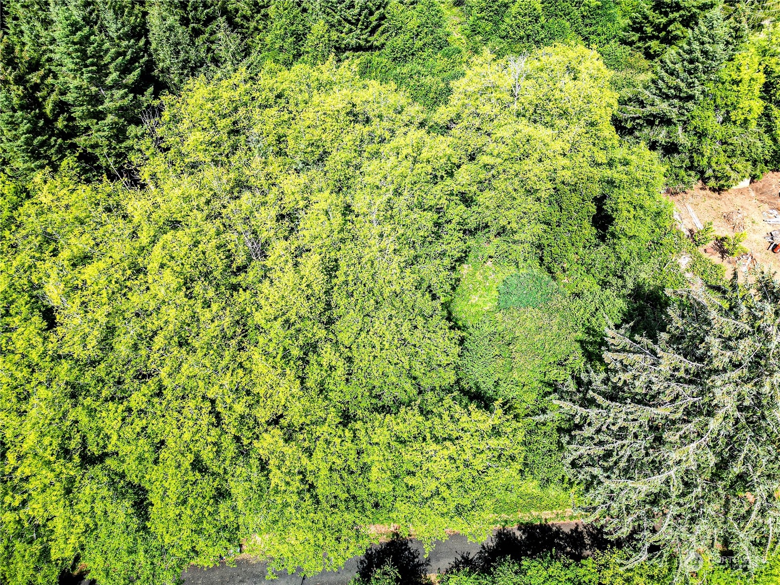 9999 Magnolia Road Beaver, WA 98305 - Photo 20 of 25 Gallery Image 20