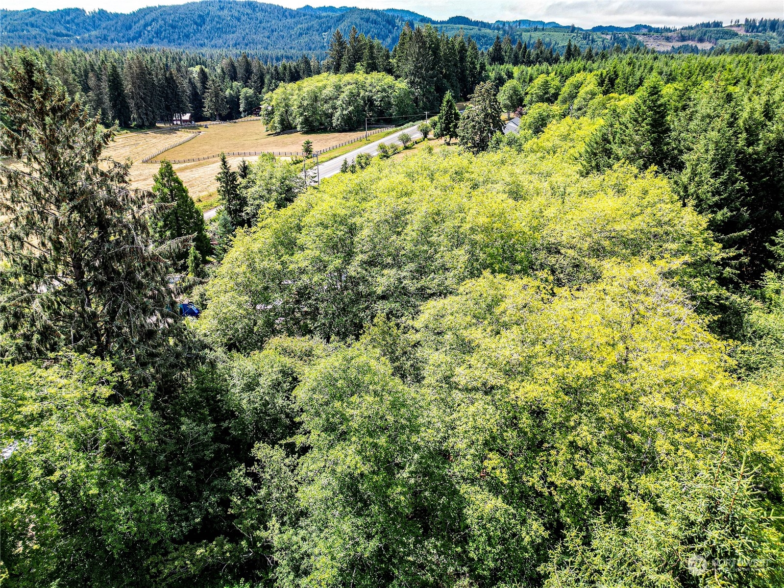 9999 Magnolia Road Beaver, WA 98305 - Photo 21 of 25 Gallery Image 21