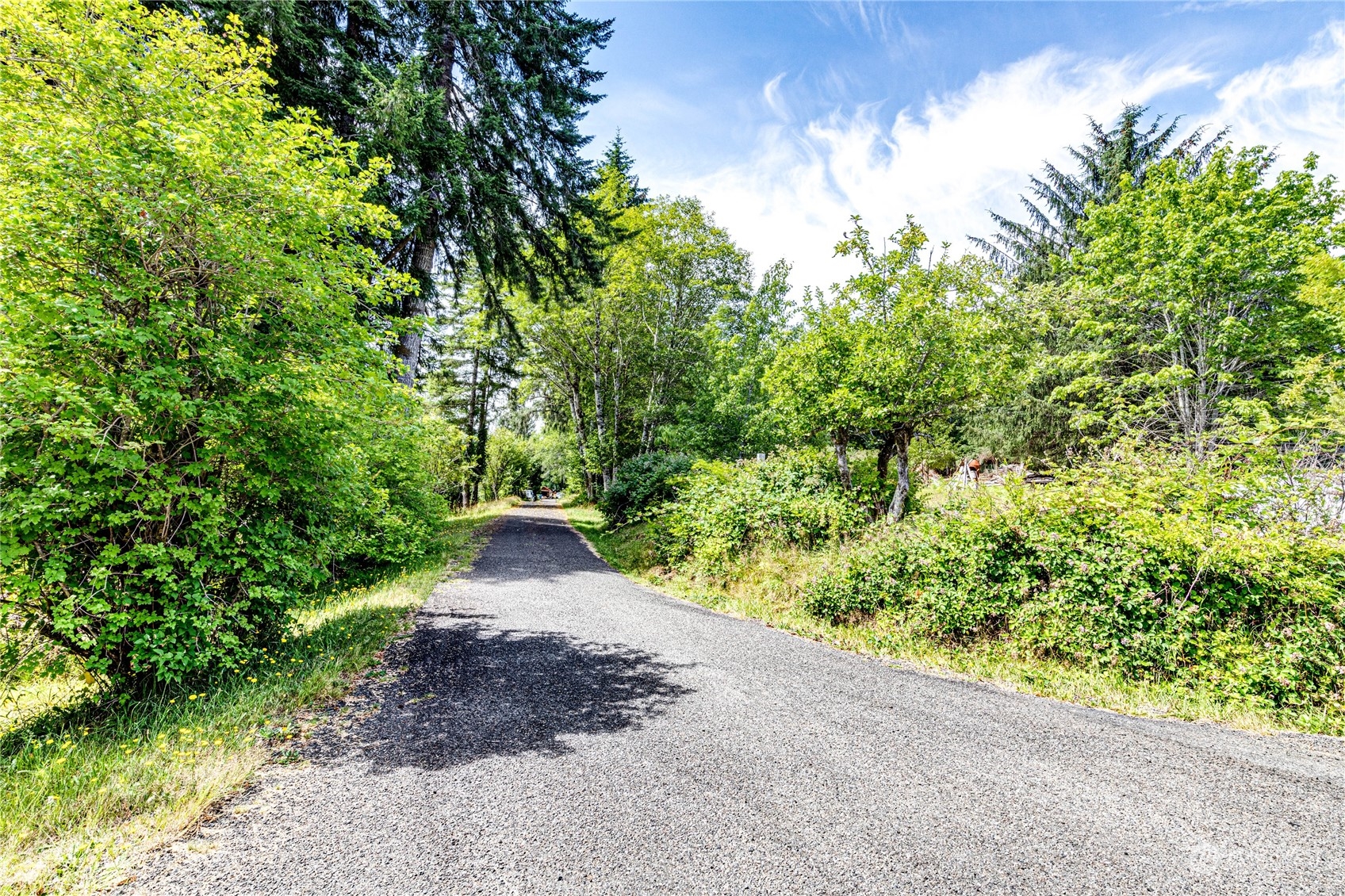 9999 Magnolia Road Beaver, WA 98305 - Photo 3 of 25 Gallery Image 3