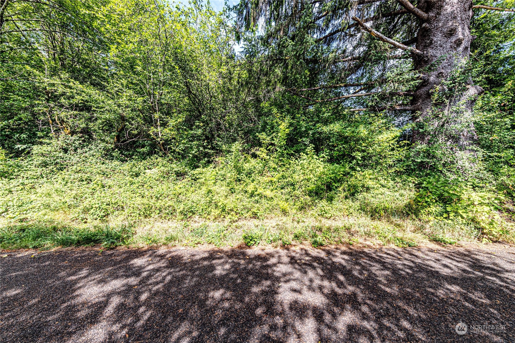 9999 Magnolia Road Beaver, WA 98305 - Photo 6 of 25 Gallery Image 6