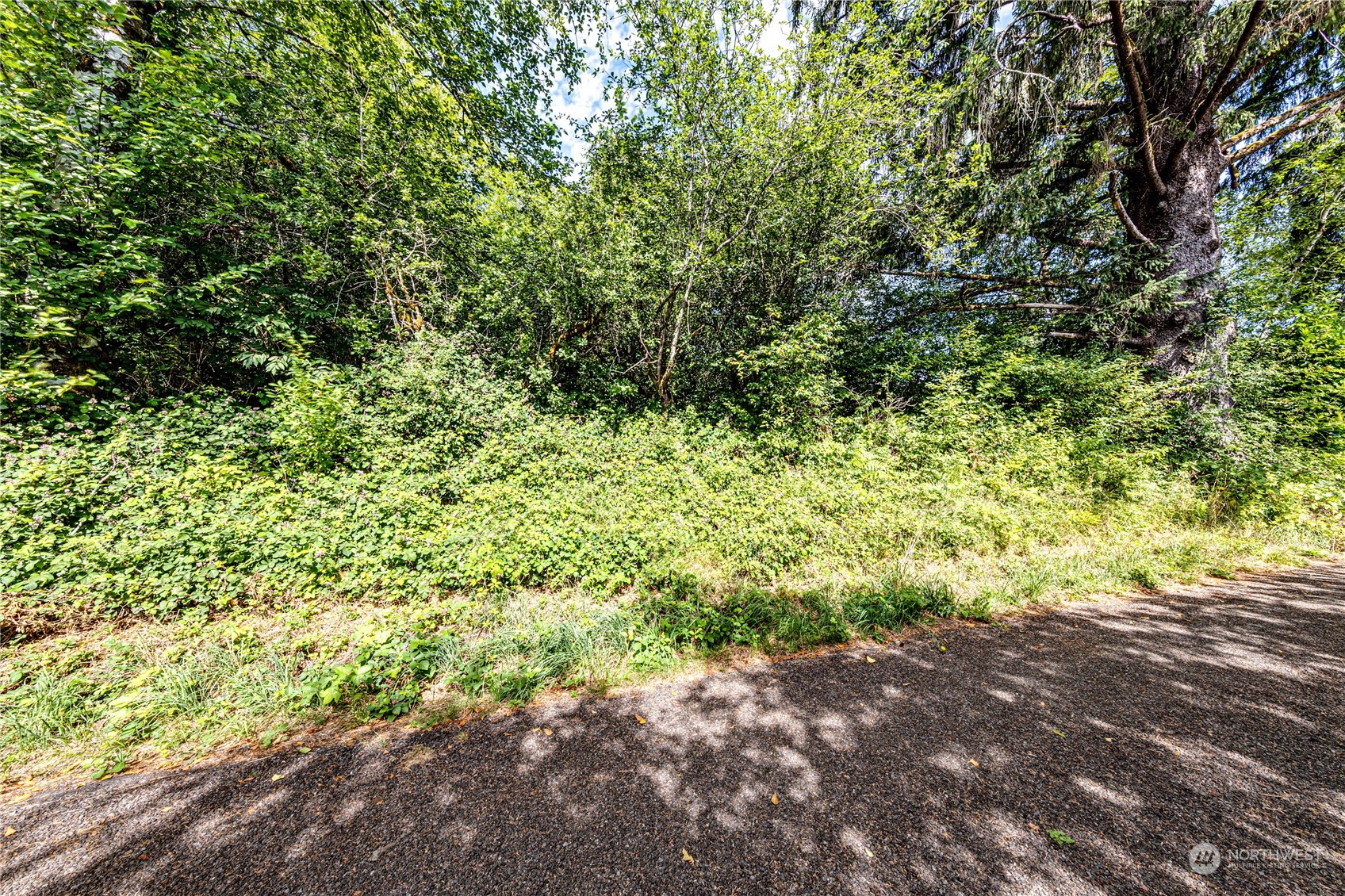 9999 Magnolia Road Beaver, WA 98305 - Photo 7 of 25 Gallery Image 7