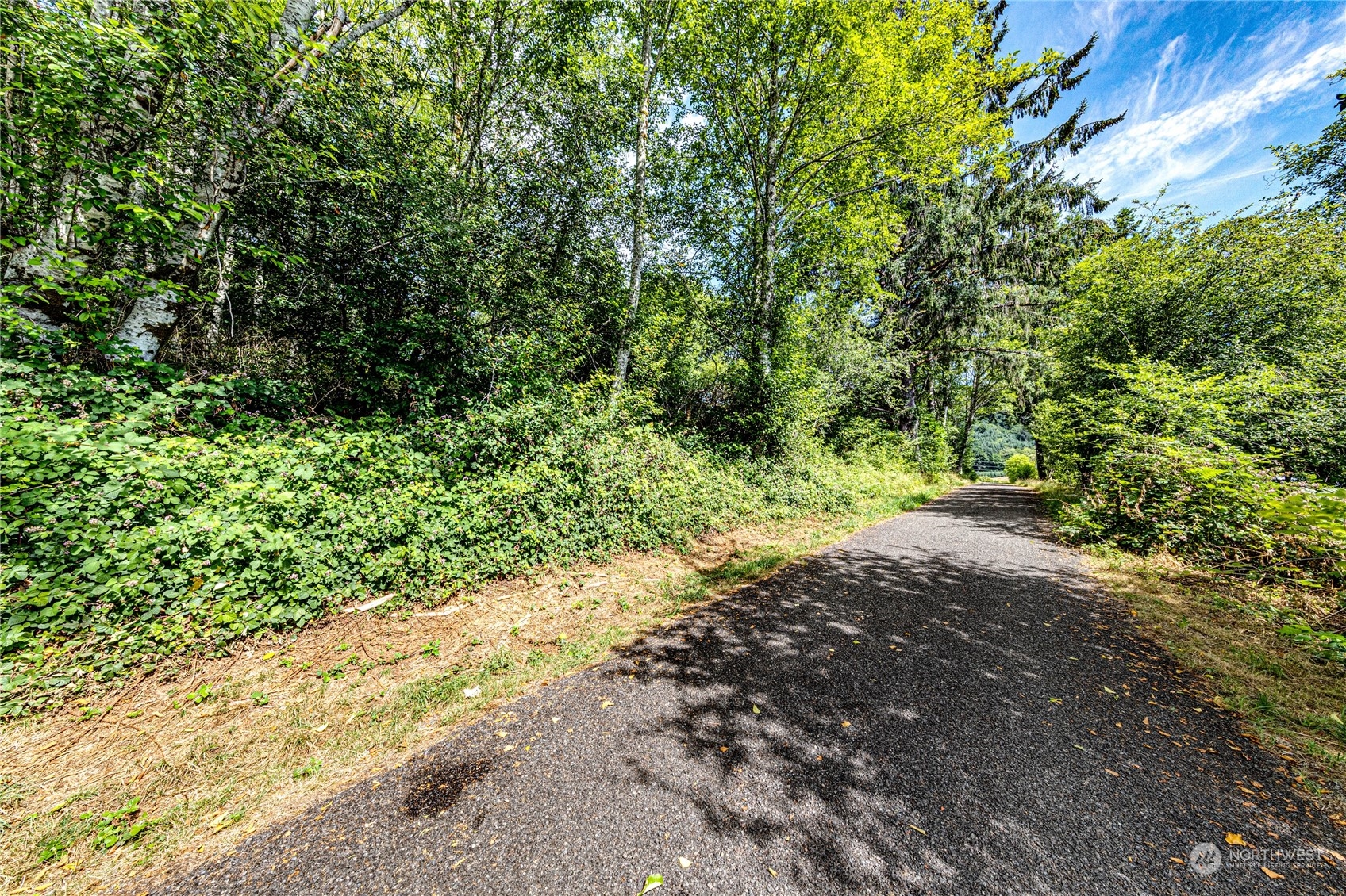 9999 Magnolia Road Beaver, WA 98305 - Photo 10 of 25 Gallery Image 10