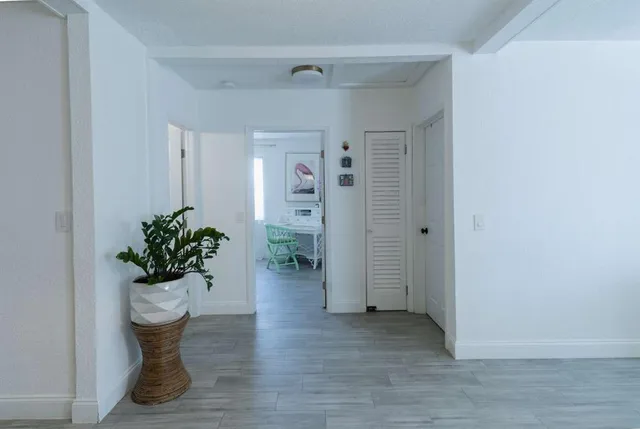 a view of a hallway with wooden floor and a potted plant