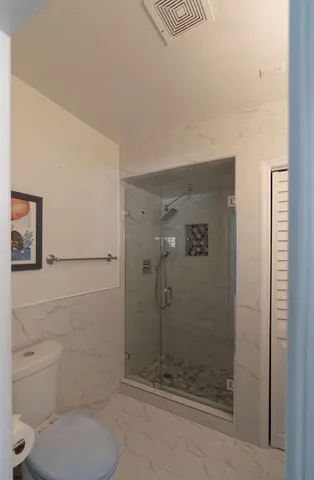 a bathroom with a shower and toilet