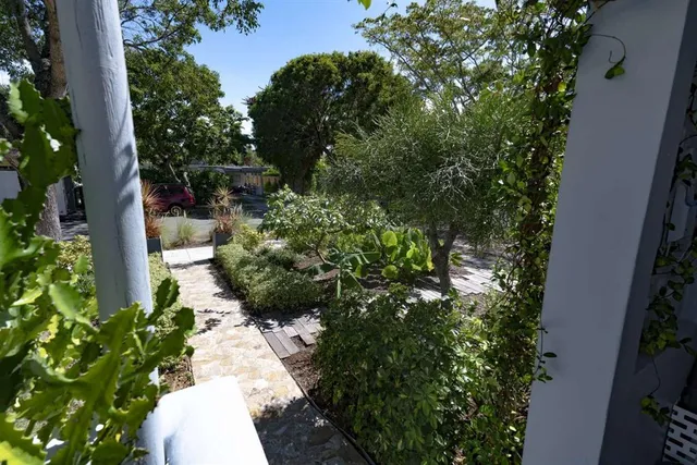 a view of a garden with plants