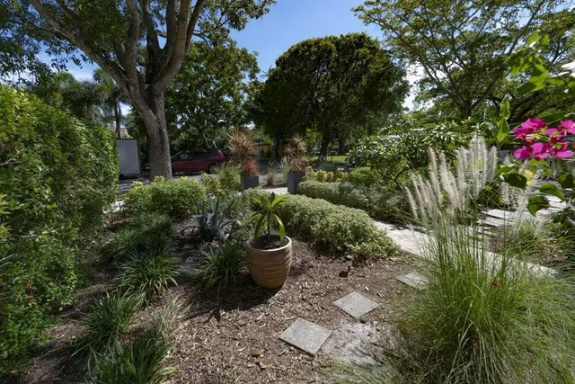a view of a garden with plants and large trees