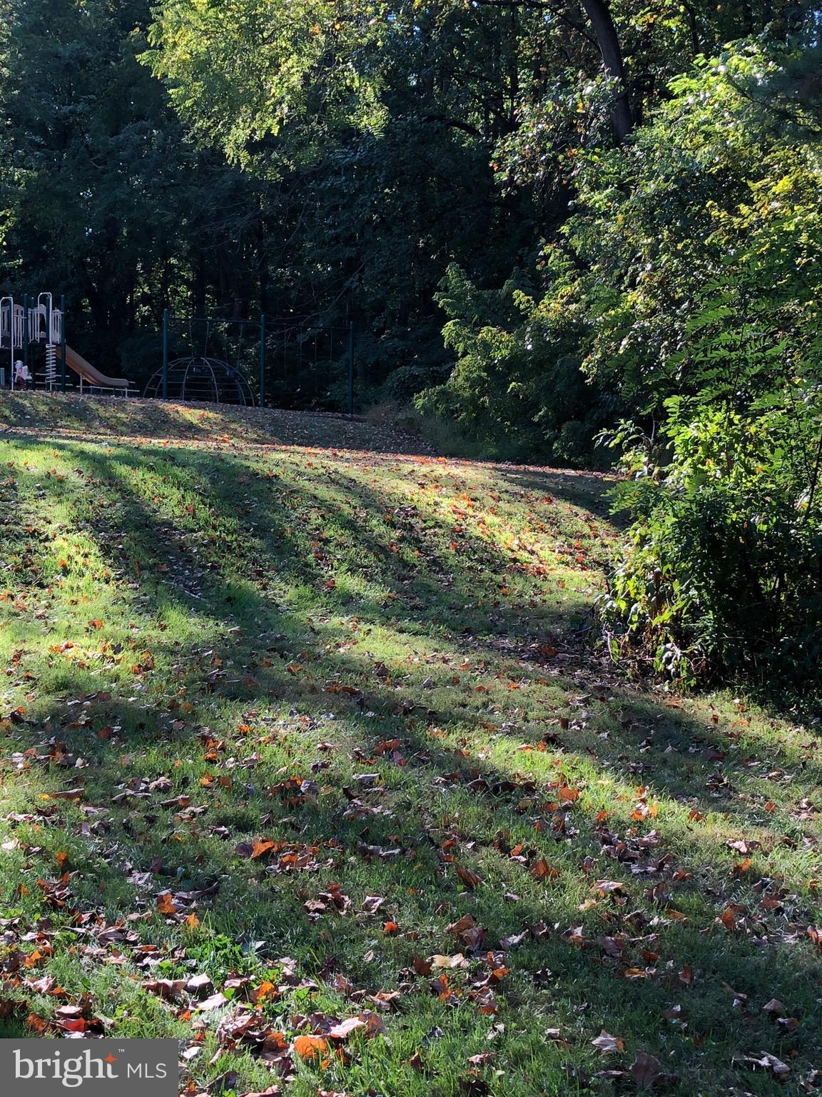 11602 Vantage Hill Road, Unit 2A Reston, VA 20190 - Photo 13 of 14 Just outside your patio...green space!!
