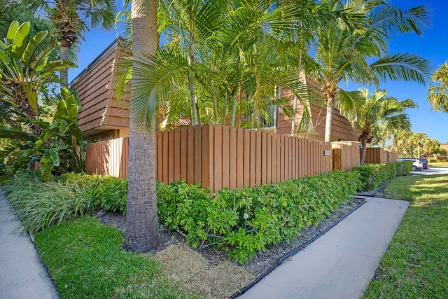 a view of a garden with plants