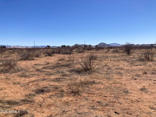 a view of a dry field with trees in the background