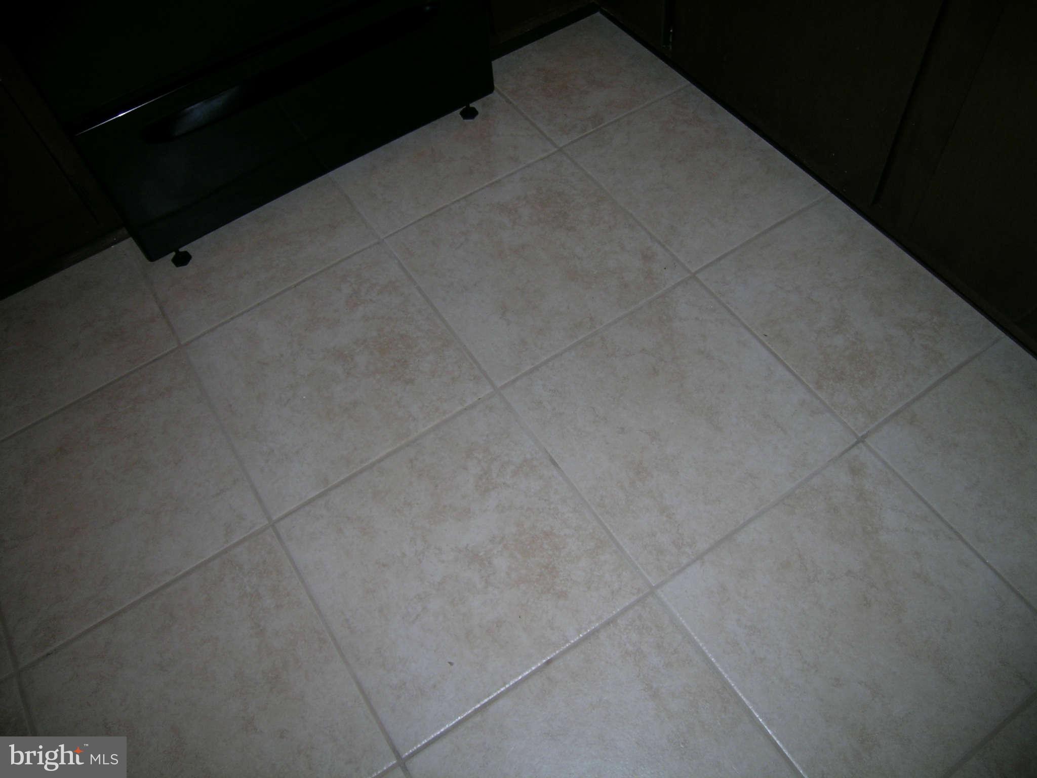 309 Harrison Road Sterling, VA 20164 - Photo 8 of 12 18" Tile Kitchen & Foyer.