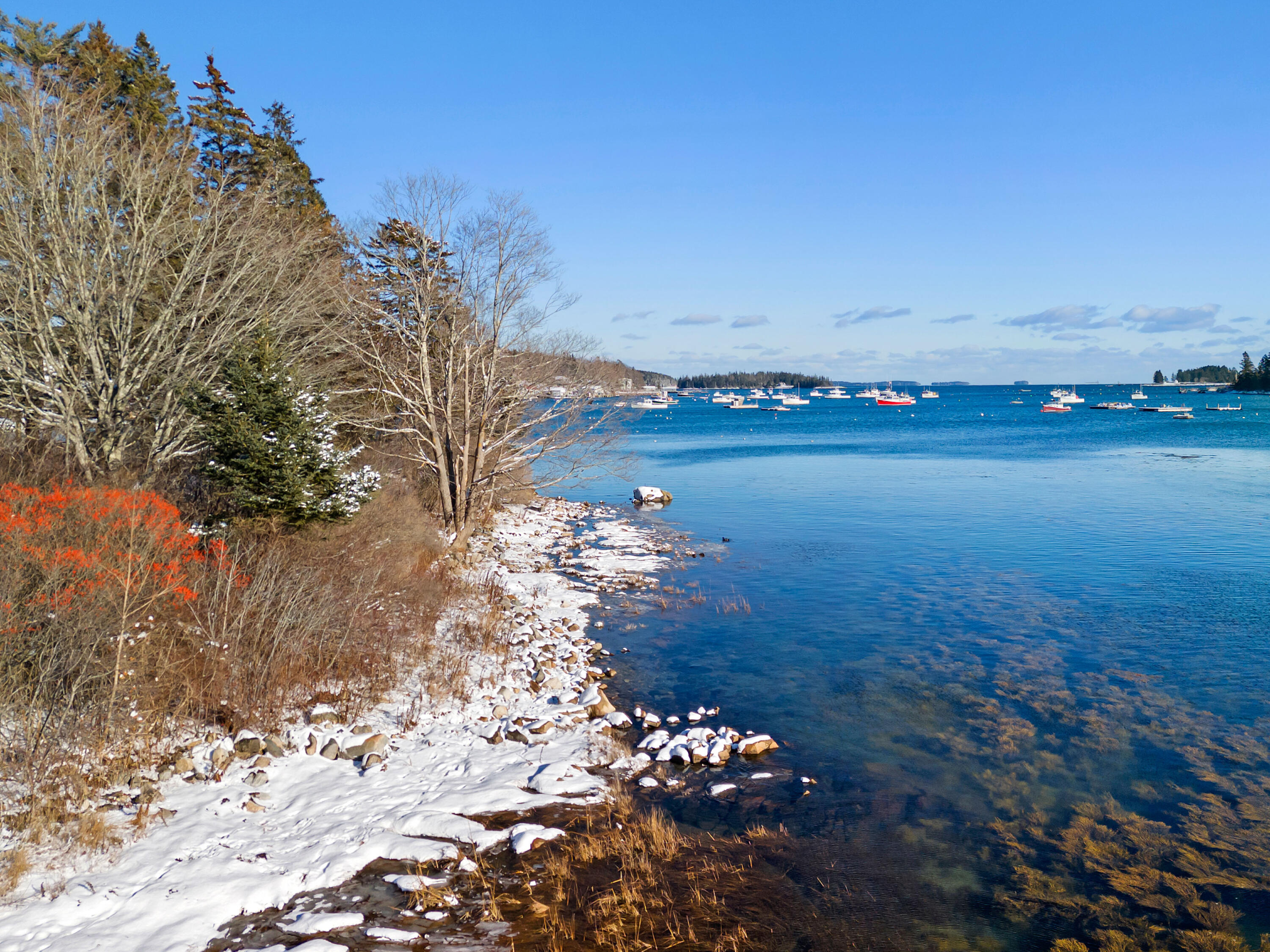 34 School Street St. George, ME 04860 - Photo 17 of 52 DJI_20251208125121_0147_D