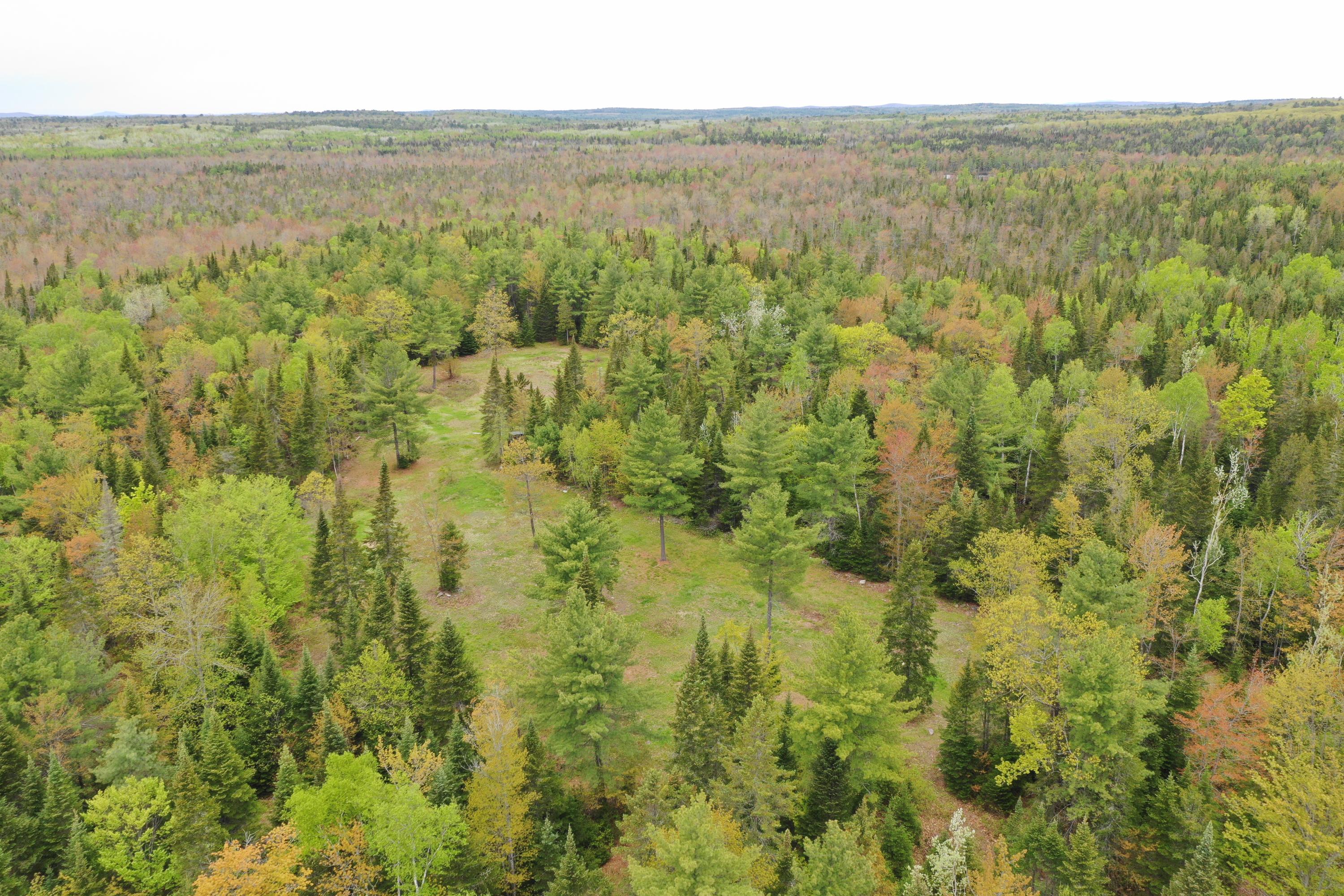 905 Lakins Road Stetson, ME 04488 - Photo 49 of 51 DJI_0408