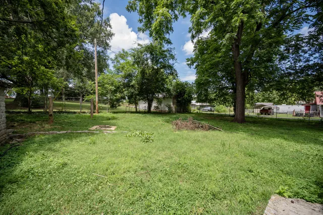 a view of a park with large trees