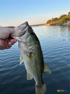 $852,000 | 3343 Bob White Lane, Belton, TX 76513