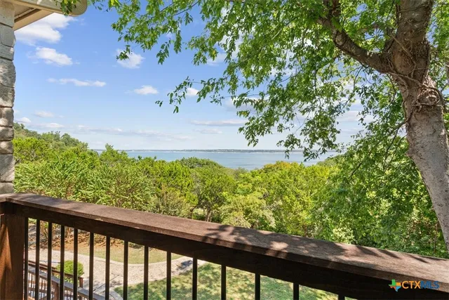 a view of a yard with plants and a bench
