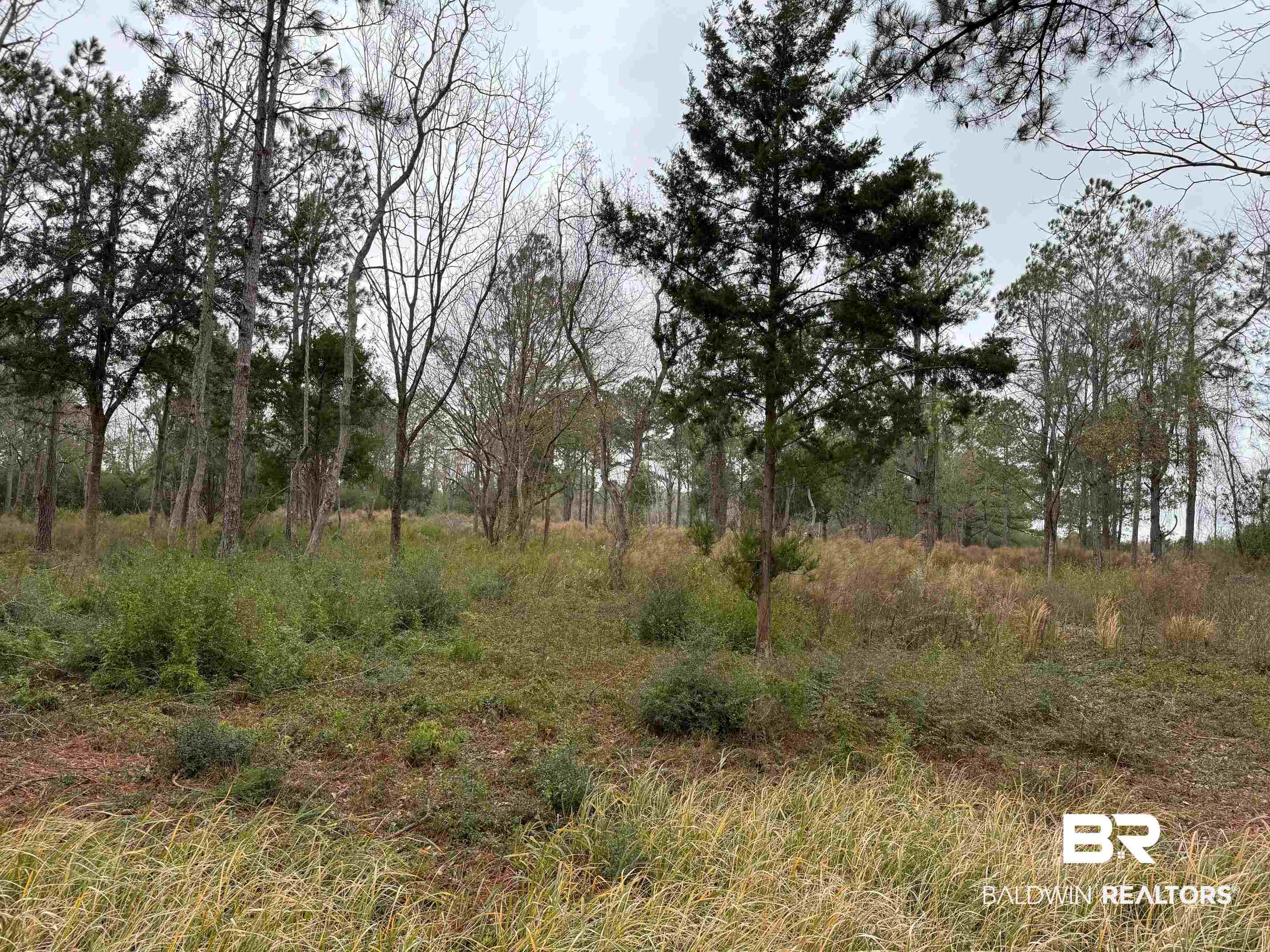 0 Old Brady Road Loxley, AL 36551 - Photo 6 of 7