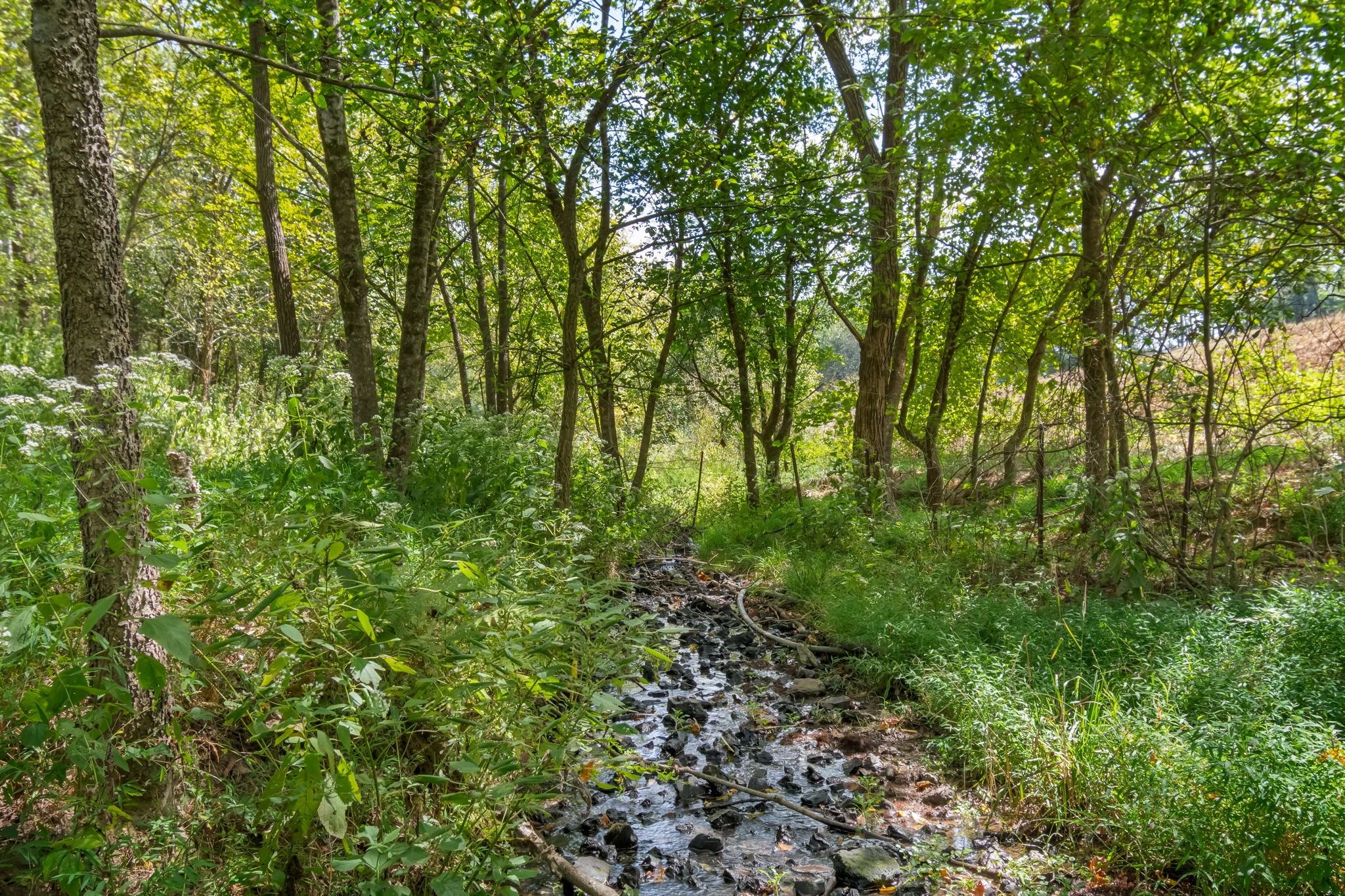 384 Big Spring Hollow Road Pulaski, TN 38478 - Photo 54 of 54 Gallery Image 54